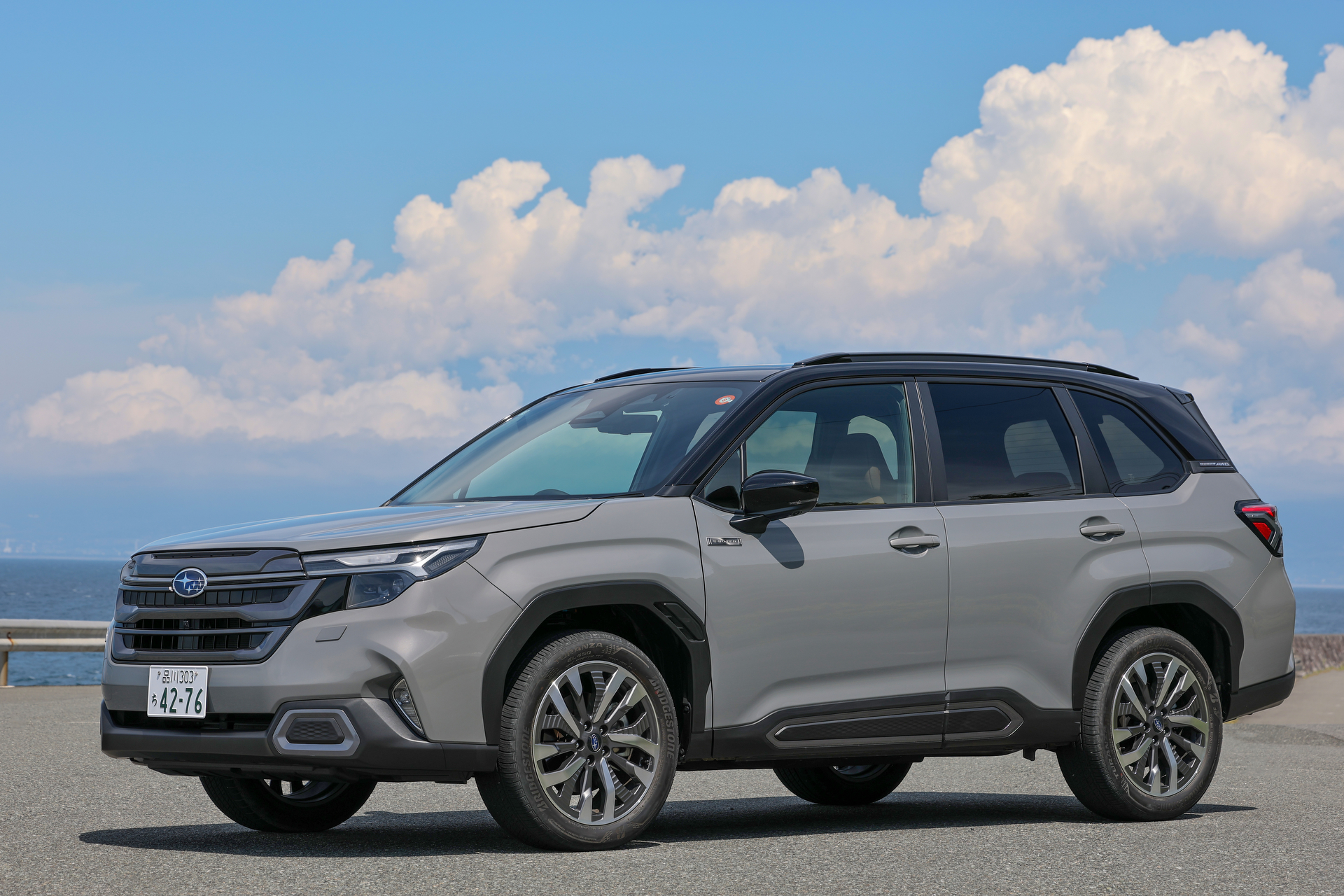 キヤノン EOS R1／RF70-200mm F2.8 L IS USM／100mm／絞り優先AE（1/320秒、F9）／ISO 100