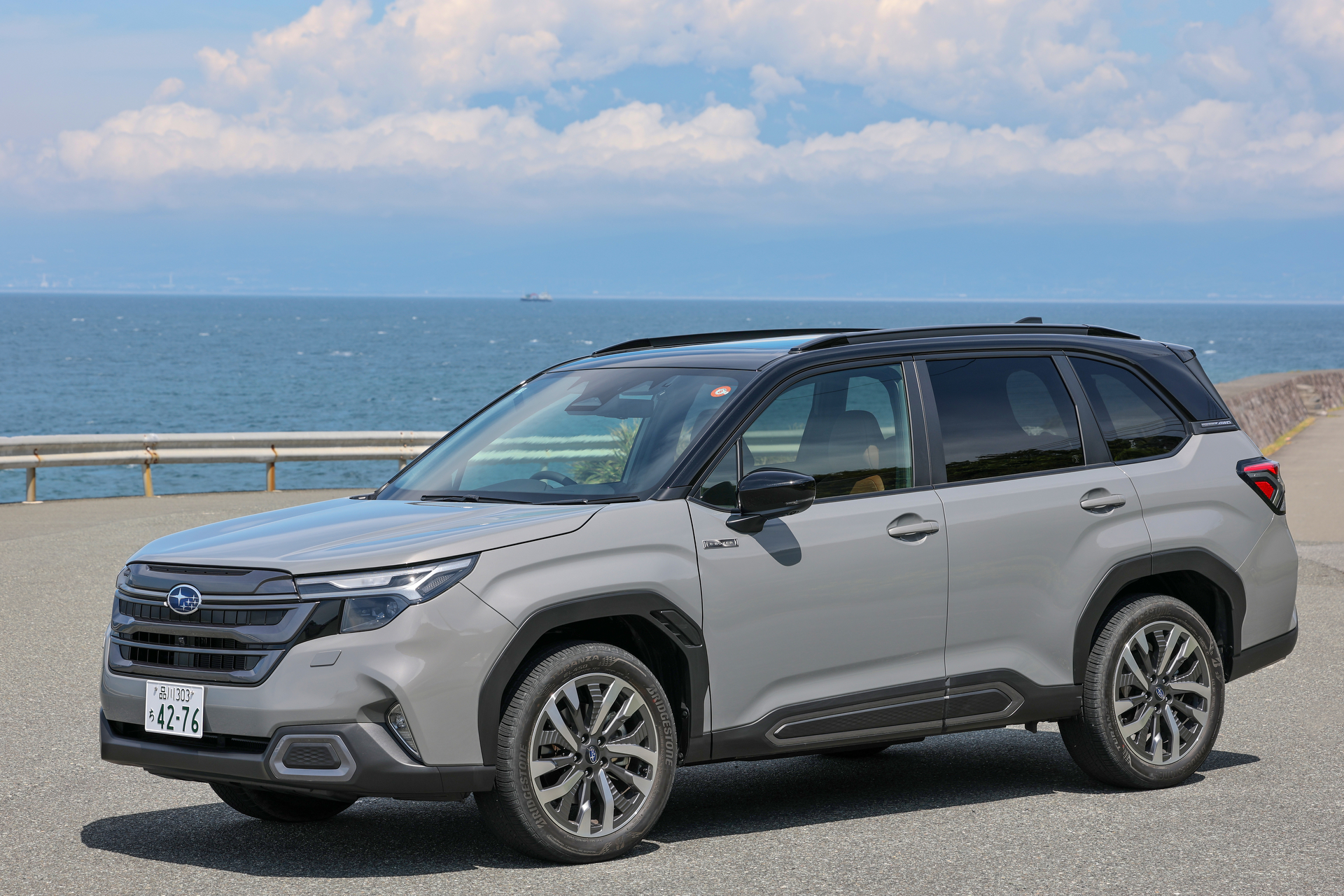 キヤノン EOS R1／RF70-200mm F2.8 L IS USM／100mm／絞り優先AE（1/250秒、F9）／ISO 100