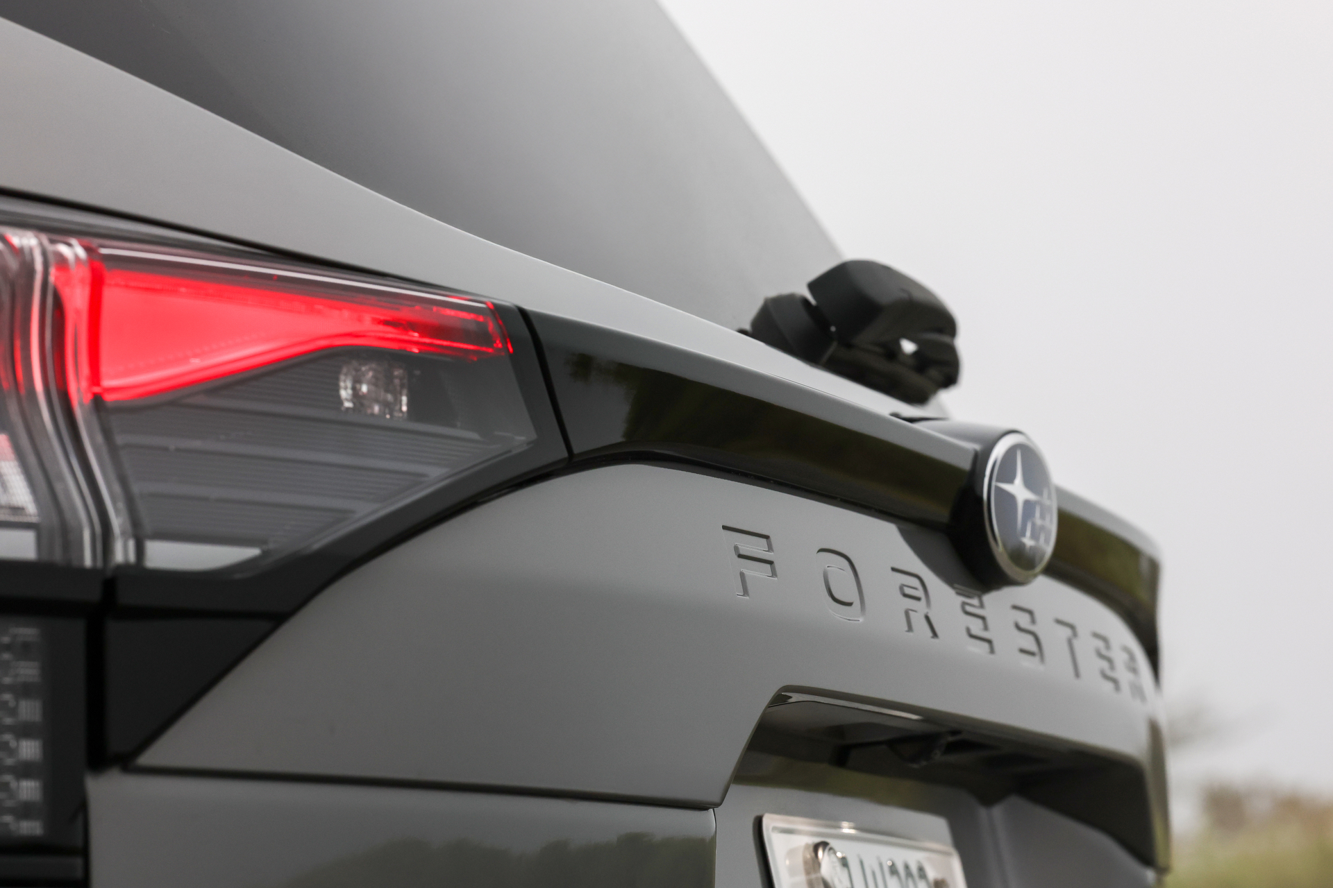 キヤノン EOS R1／RF135mm F1.8 L IS USM／135mm／絞り優先AE（1/200秒、F10）／ISO 1250