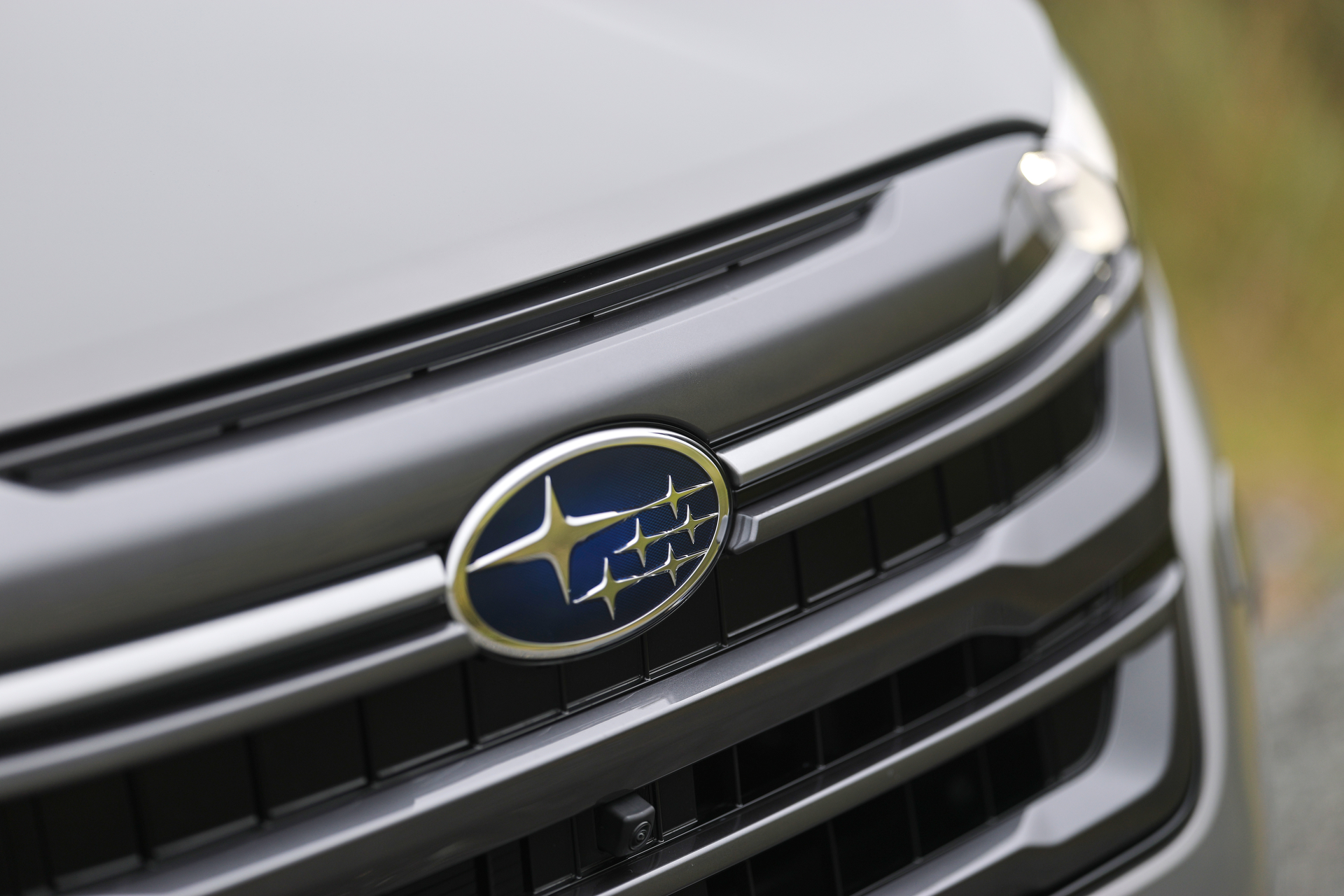 キヤノン EOS R1／RF135mm F1.8 L IS USM／135mm／絞り優先AE（1/250秒、F1.8）／ISO 100