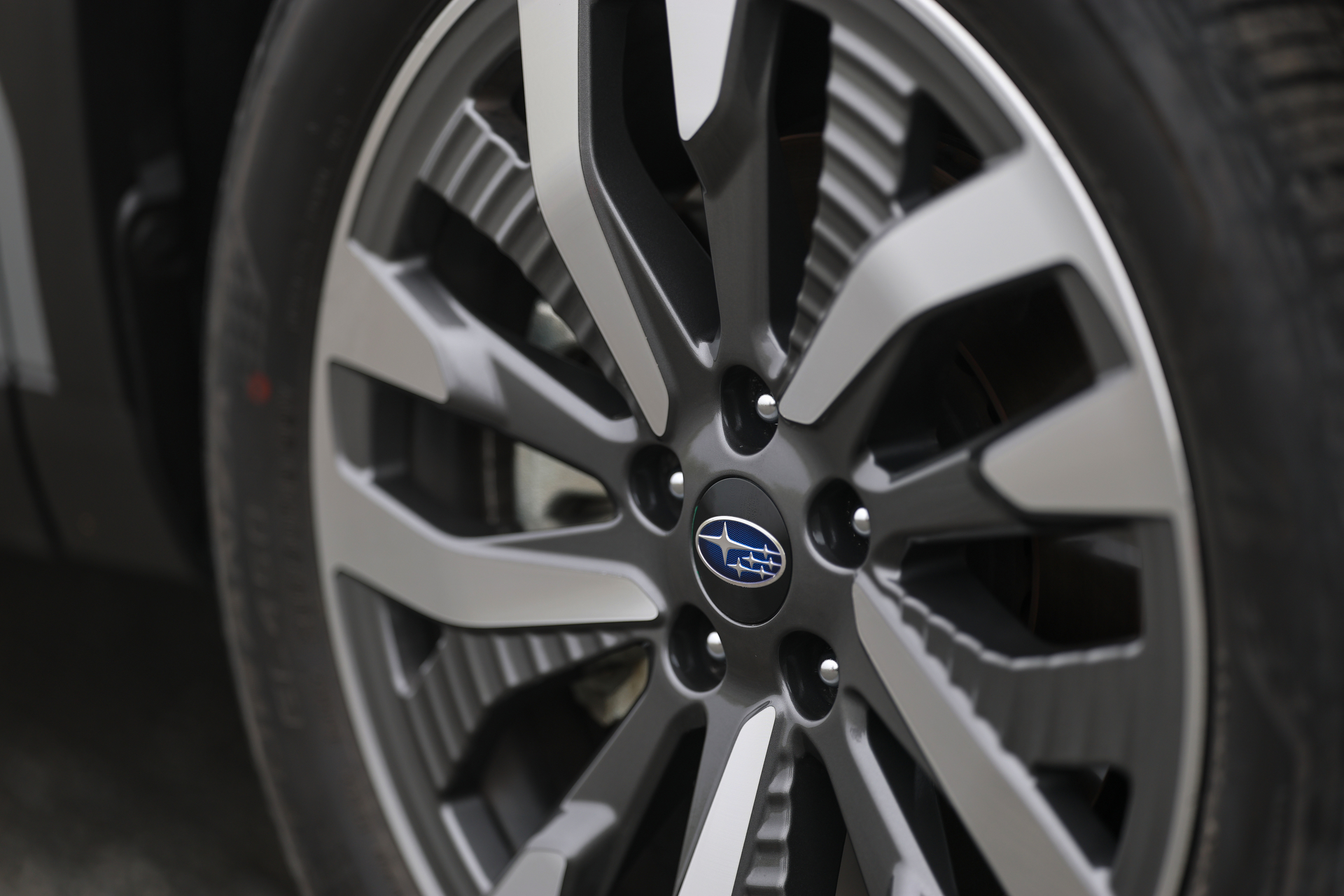 キヤノン EOS R1／RF135mm F1.8 L IS USM／135mm／絞り優先AE（1/160秒、F1.8）／ISO 125