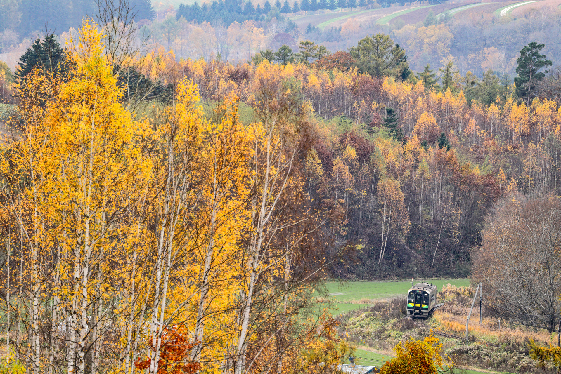 <span class="fnt-85">キヤノン EOS R5 Mark II／RF100-500mm F4.5-7.1 L IS USM／500mm／マニュアル露出（F9、1/800秒）／ISO 1600／WB：太陽光</span>