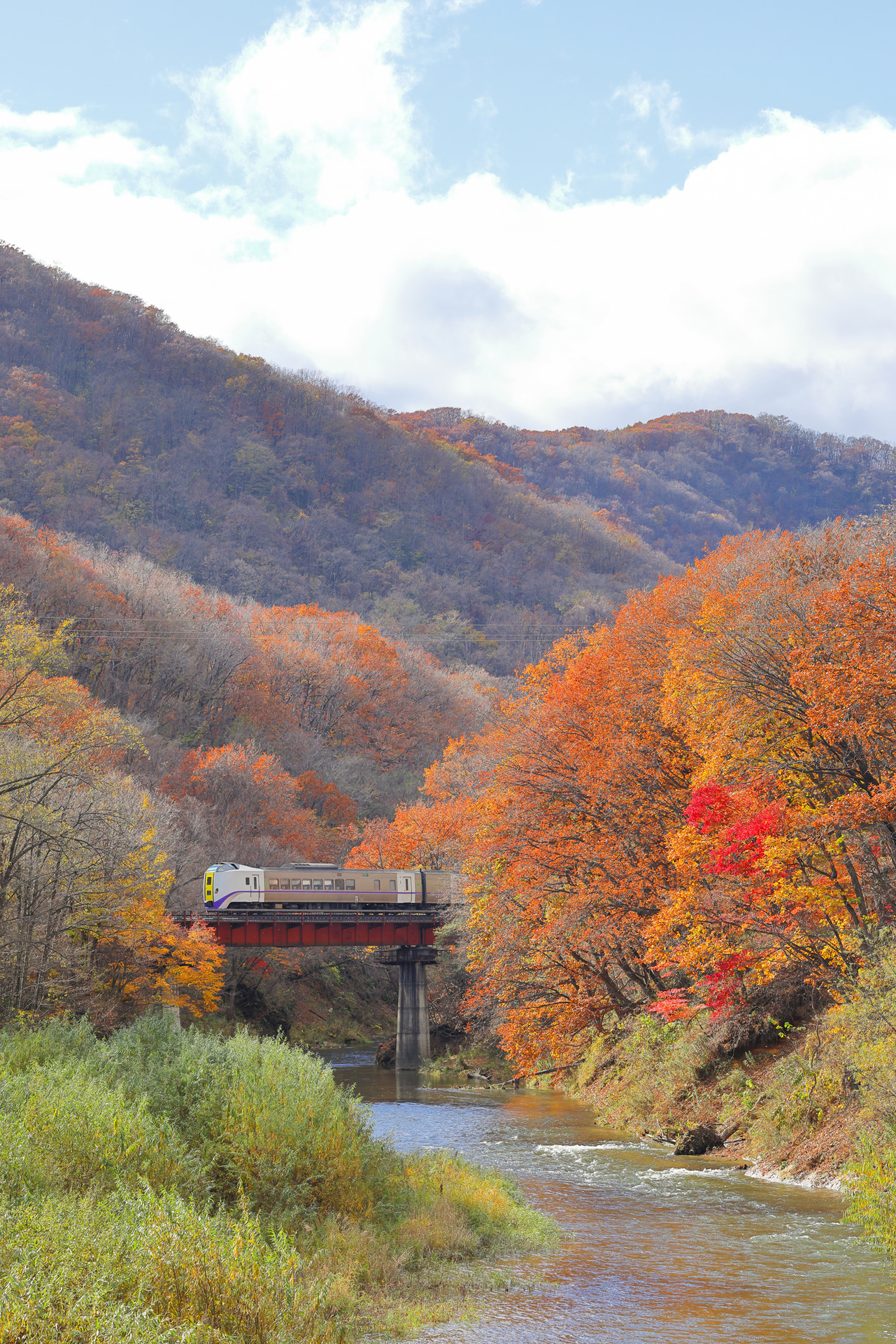 <span class="fnt-85">キヤノン EOS R5 Mark II／RF70-200mm F2.8 L IS USM／100mm／マニュアル露出（F6.3、1/1,600秒）／ISO 1600／WB：太陽光</span>