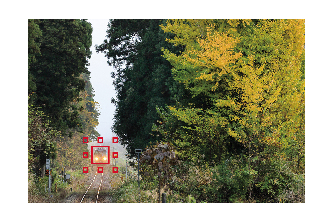 領域拡大AF（周囲）を線路上に配置。列車を捕捉すると青枠に変化して運転席周辺をトラッキングしてくれる