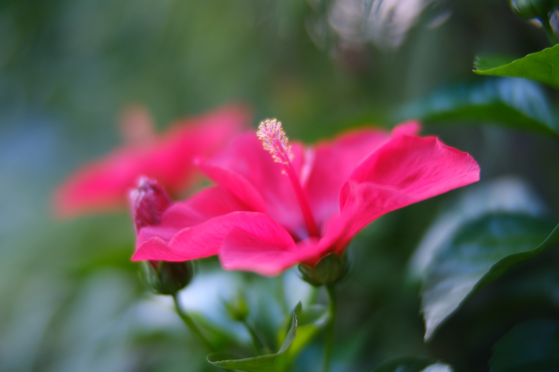 富士フイルム X-H2S／SG-image 35mm F0.95／絞り優先AE（1/75秒、F0.95、−0.3EV）／ISO 320