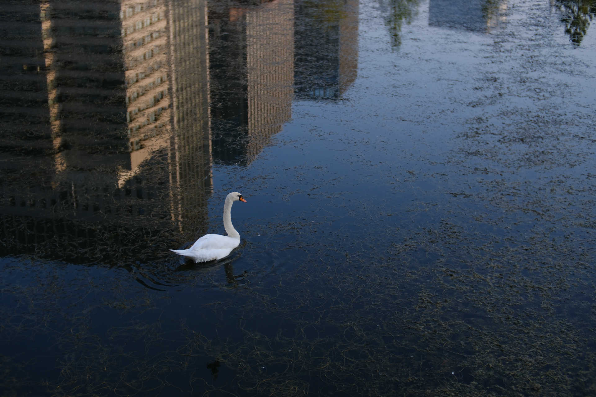 富士フイルム X-H2S／SG-image 35mm F0.95／絞り優先AE（1/2,700秒、F2.8、−1.3EV）／ISO 320