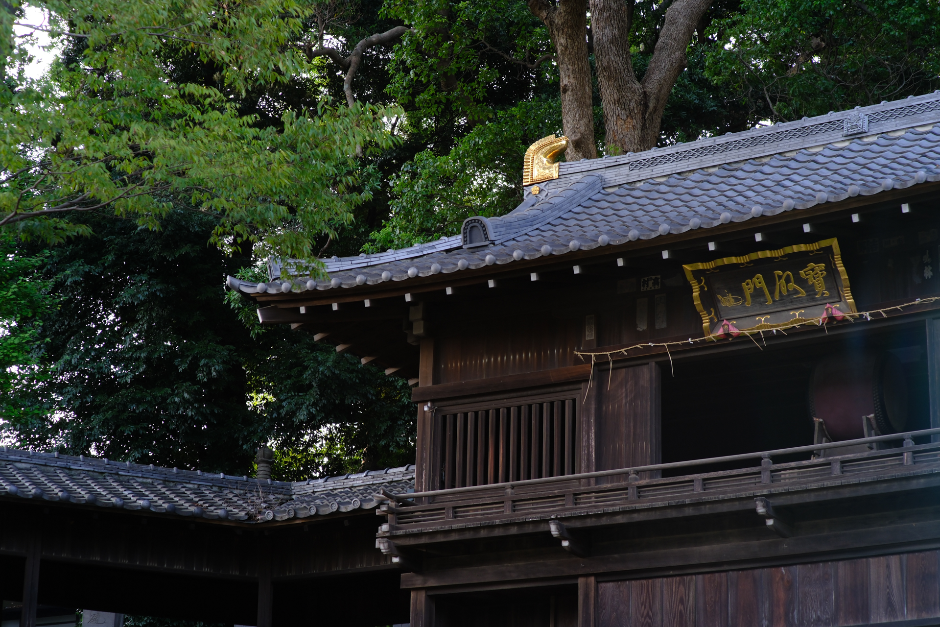 富士フイルム X-H2S／SG-image 50mm F1.4／絞り優先AE（1/50秒、F5.6、−1.3EV）／ISO 200