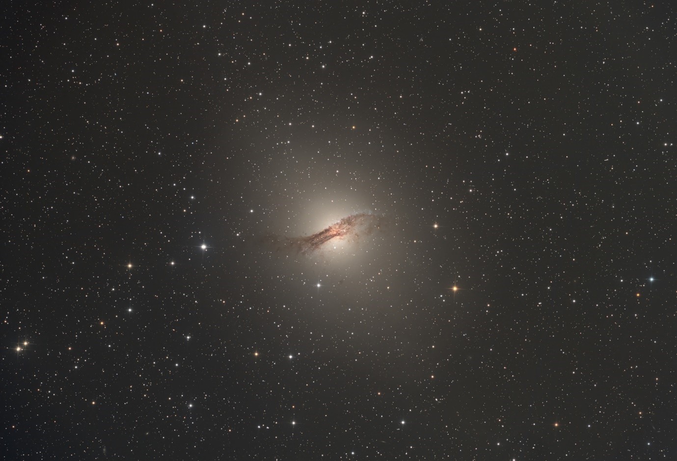 リコリモでの撮影例