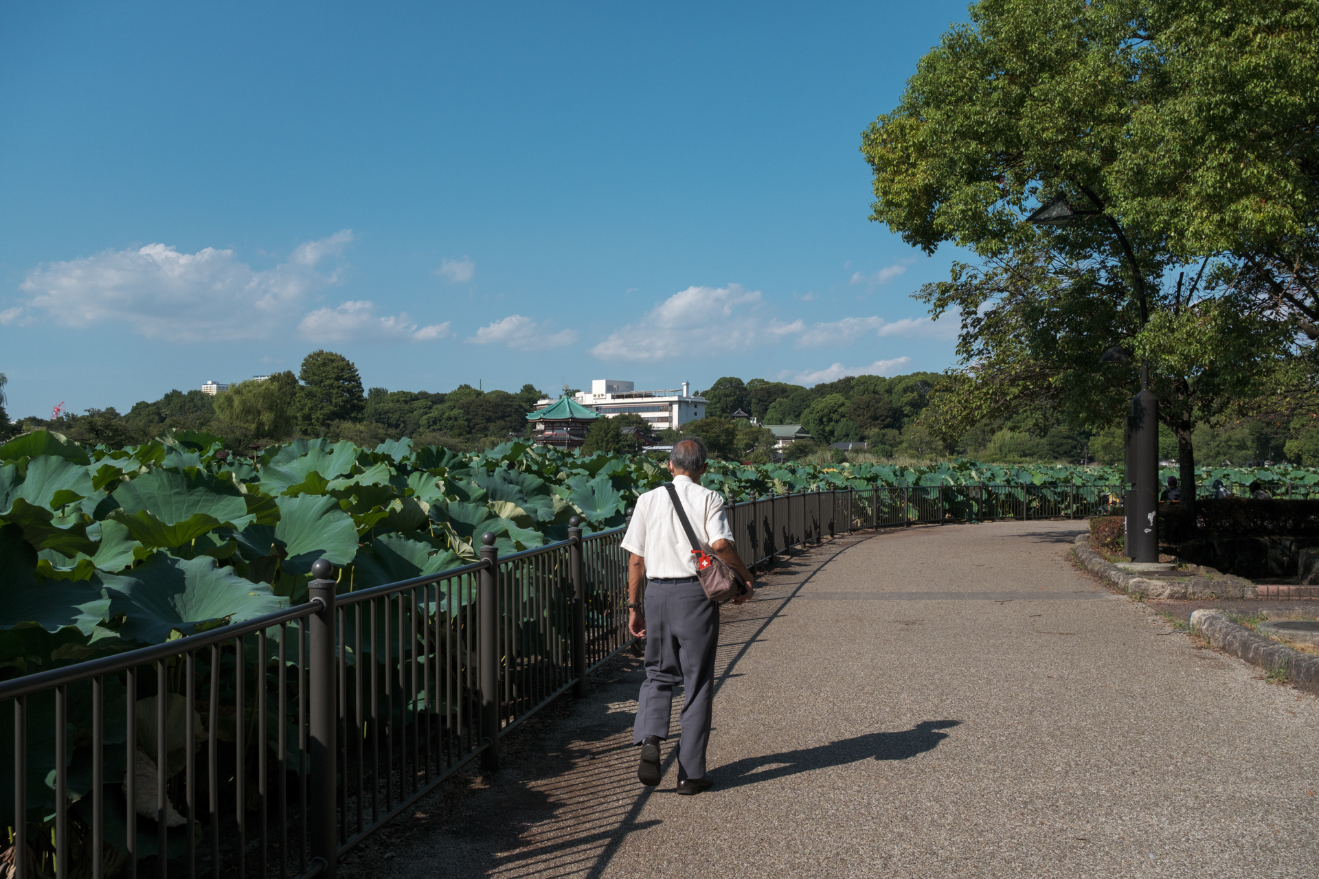 公園で映画のような光景に出会ったので、ETERNA/シネマに設定してみたわけですが、雰囲気は感じます。これが正解かどうかはわかりません。個人の好みですね。<br><span class="fnt-85">富士フイルム X-E5／XF23mmF2.8 R WR／23mm（35mm相当）／絞り優先AE（1/1,500秒、F8.0、−1EV）／ISO 400／フィルムシミュレーション: ETERNA/シネマ</span>