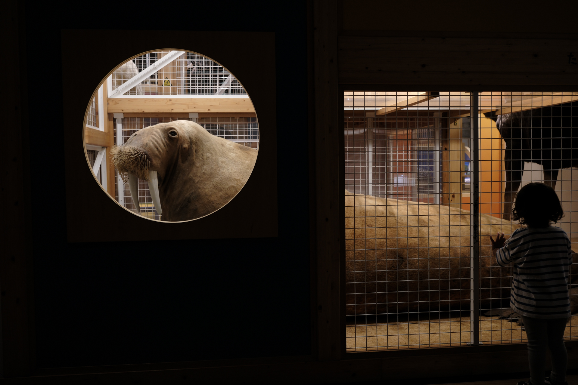 手ブレ補正がしっかり効いていること、明暗差の大きな場所でも、問題のない再現であること、高感度でもノイズが少ないことなど、デフォルトの画でもスキがありません。<br><span class="fnt-85">富士フイルム X-E5／XF23mmF2.8 R WR／23mm（35mm相当）／絞り優先AE（1/25秒、F4.0、−2EV）／ISO 400／フィルムシミュレーション: Velvia/ベルビア</span>