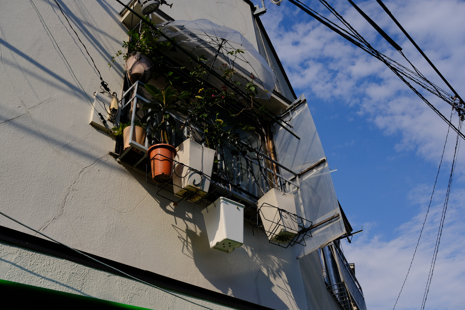 空中プランター。下を歩く人のアタマの上に落ちてこないことを祈ります。青空の色がトボけた印象を強調しました。<br><span class="fnt-85">富士フイルム X-E5／XF23mmF2.8 R WR／23mm（35mm相当）／絞り優先AE（1/1,250秒、F9.0、−0.7EV）／ISO 400／フィルムシミュレーション: PROVIA/スタンダード</span>