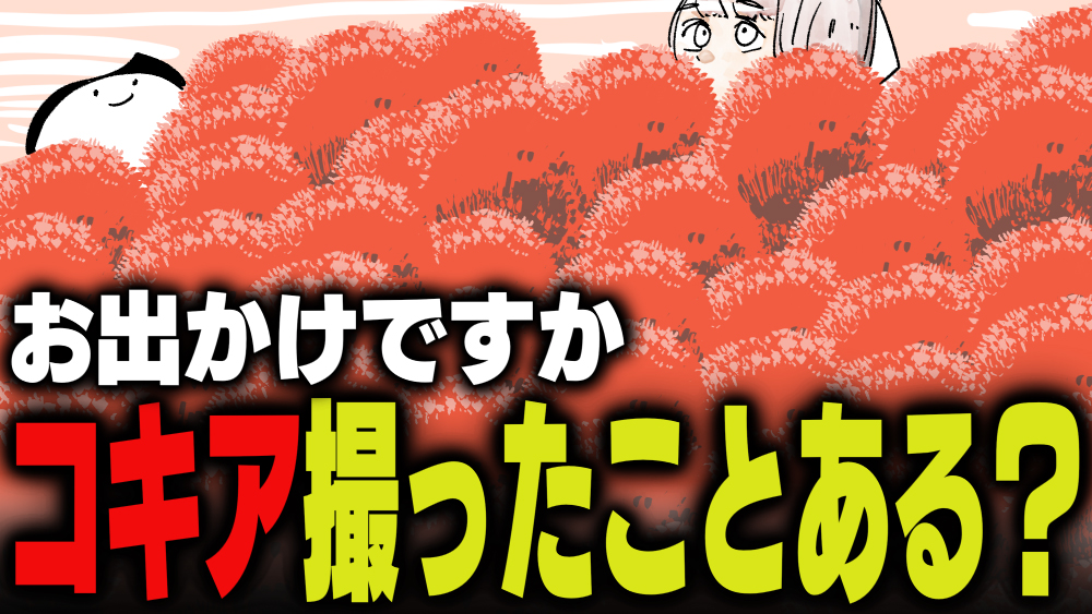 イラスト：飯田ともき