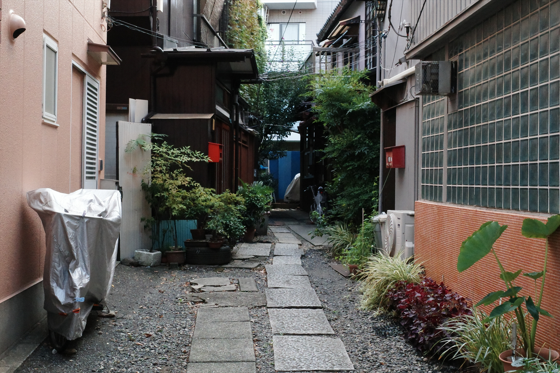 GR IV／18.3mm（クロップ50㎜）／スナップ撮影距離優先AE・∞無限遠（F6.3、1/30秒、－0.7EV）／ISO 2500／WB：AWB／イメージコントロール：ポジフィルム調