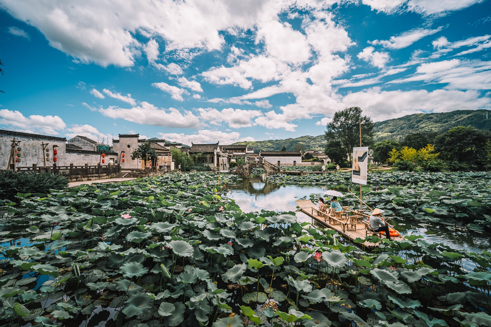 作例提供：株式会社焦点工房