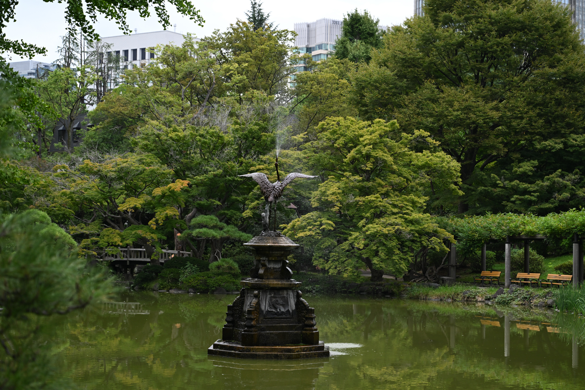 ニコン Z8／NIKKOR Z 24-70mm f/2.8 S II／70mm／絞り優先AE（1/320秒、F4.0、＋0.7EV）／ISO 400