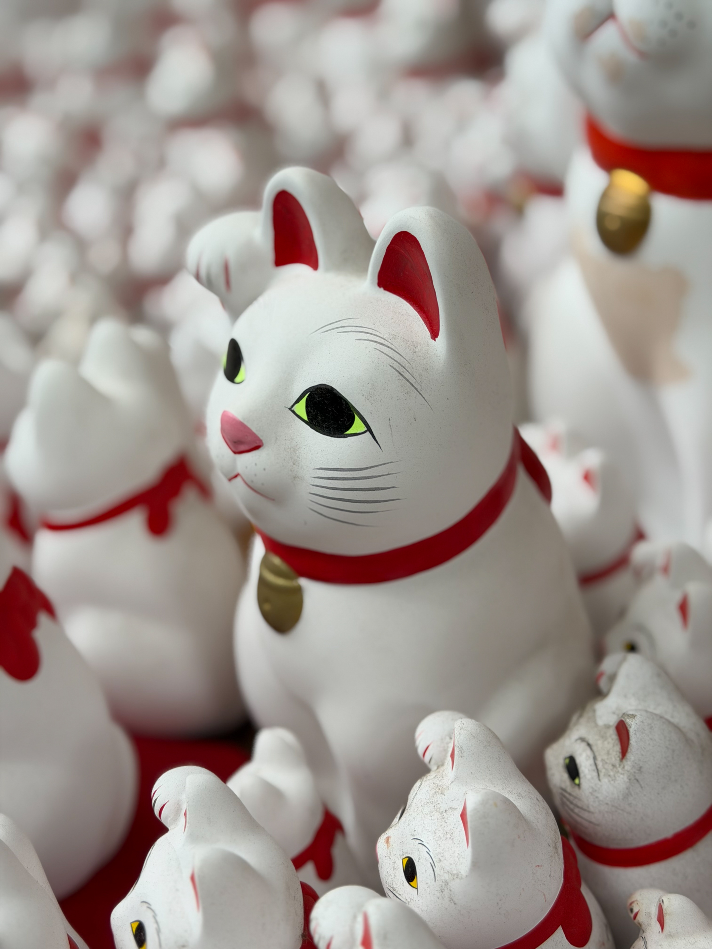 iPhone 17 Pro／6.8mm（48mm相当）／1/140秒／F1.8／ISO 50