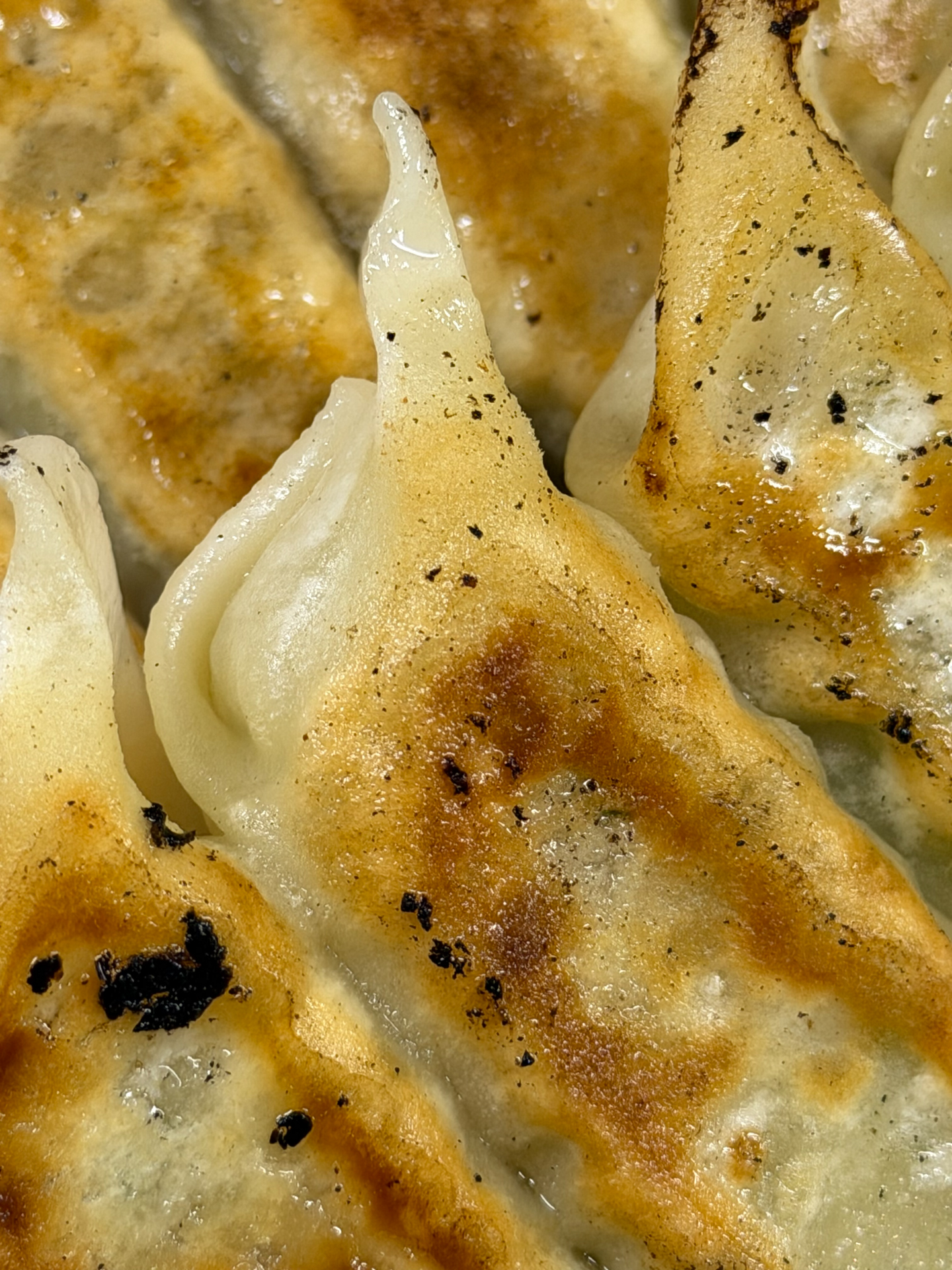 iPhone 17 Pro／6.8mm（102mm相当）／1/50秒／F1.8／ISO 160