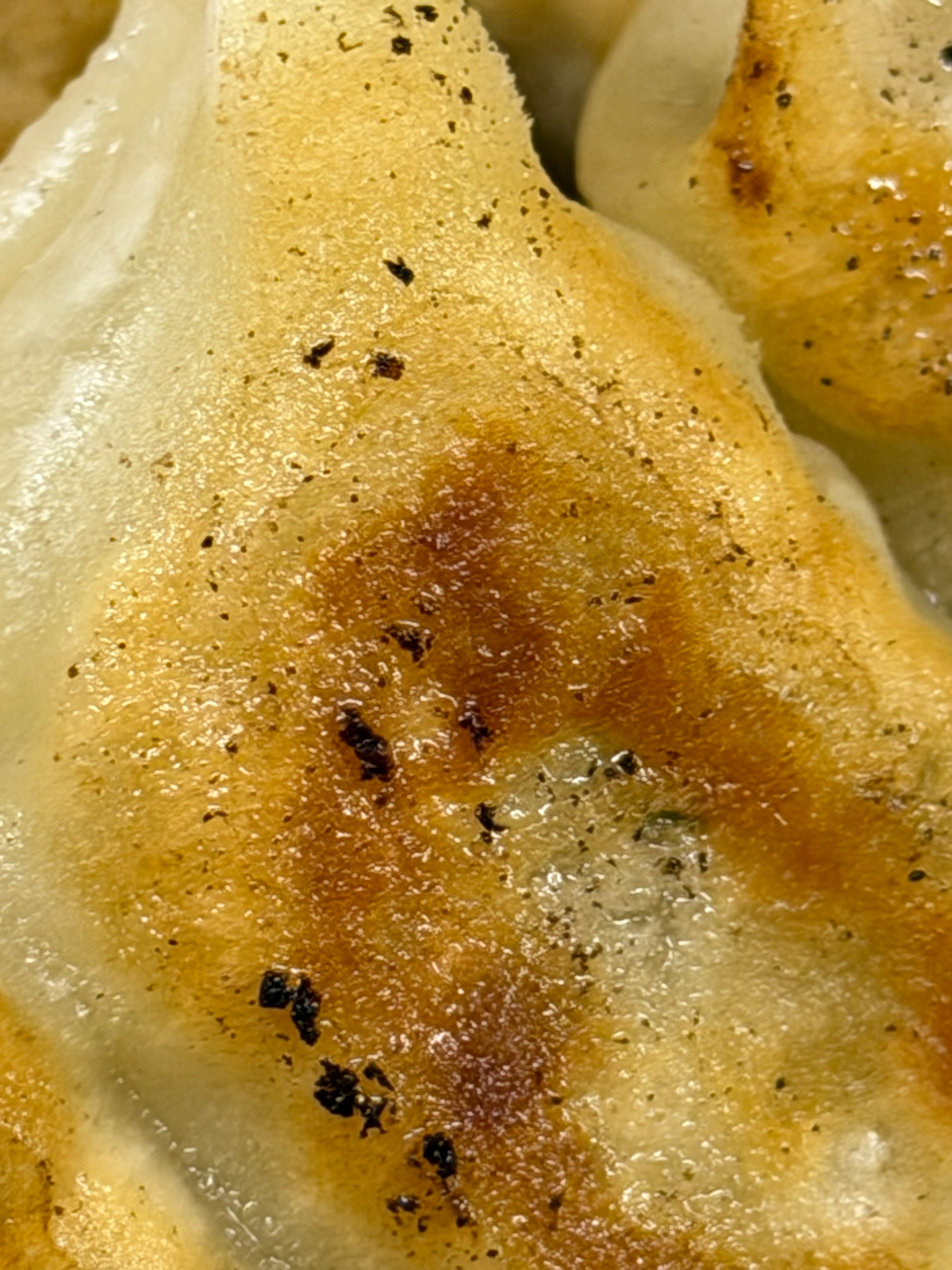 iPhone 17 Pro／6.8mm（205mm相当）／1/50秒／F1.8／ISO 200