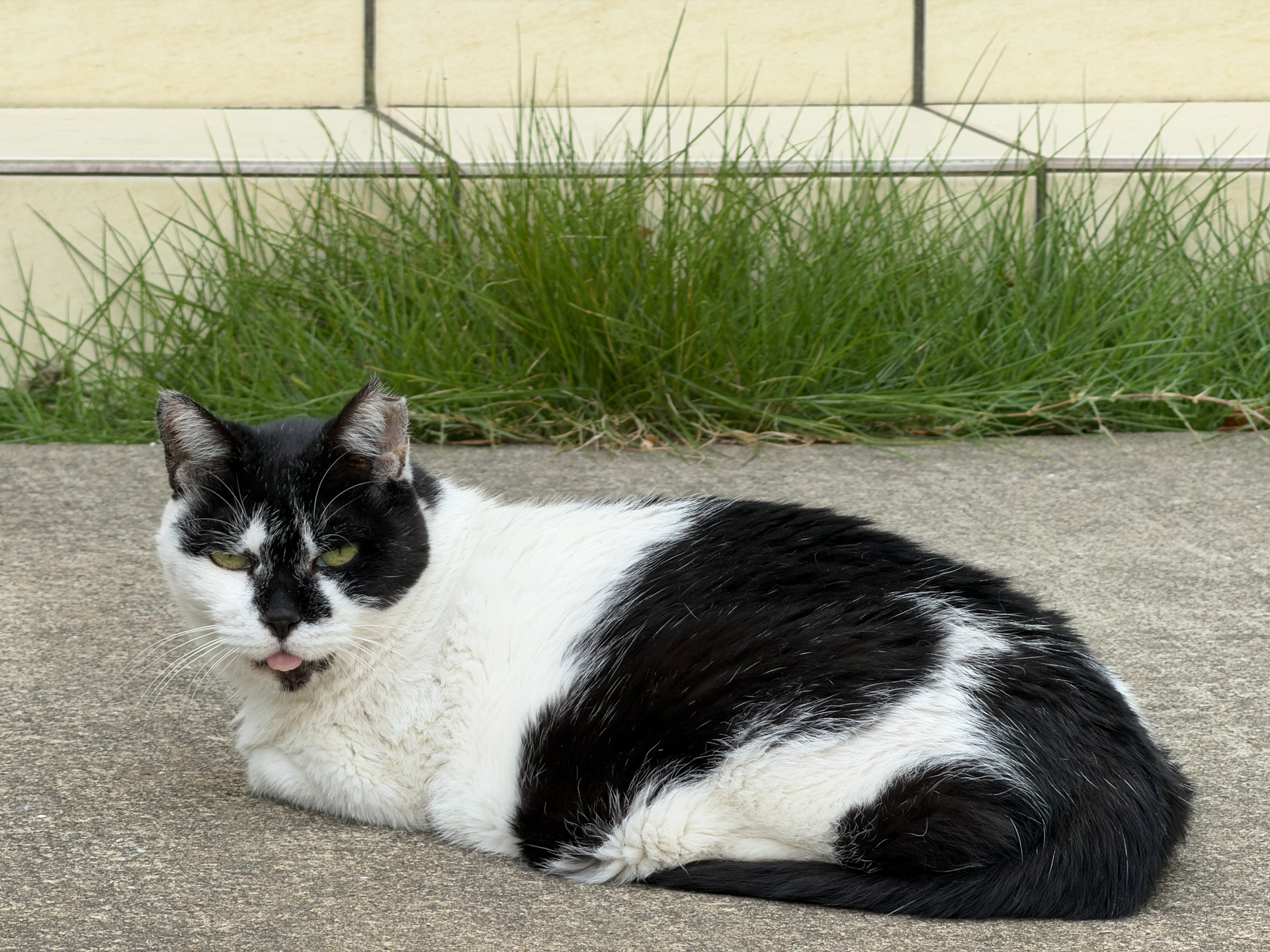 iPhone 17 Pro／16.9mm（200mm相当）／1/120秒／F2.8／ISO 50