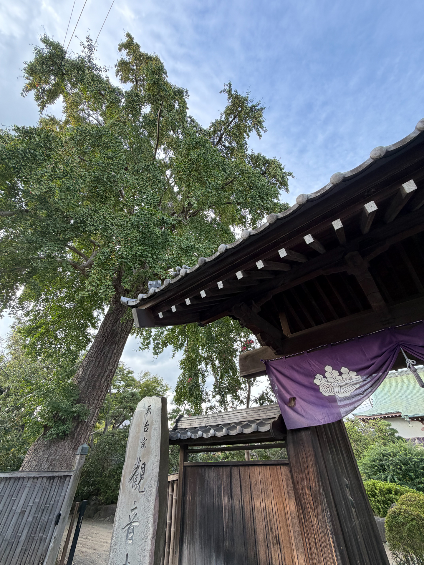 iPhone 17 Pro／2.22mm（14mm相当）／1/120秒／F2.2／ISO 80