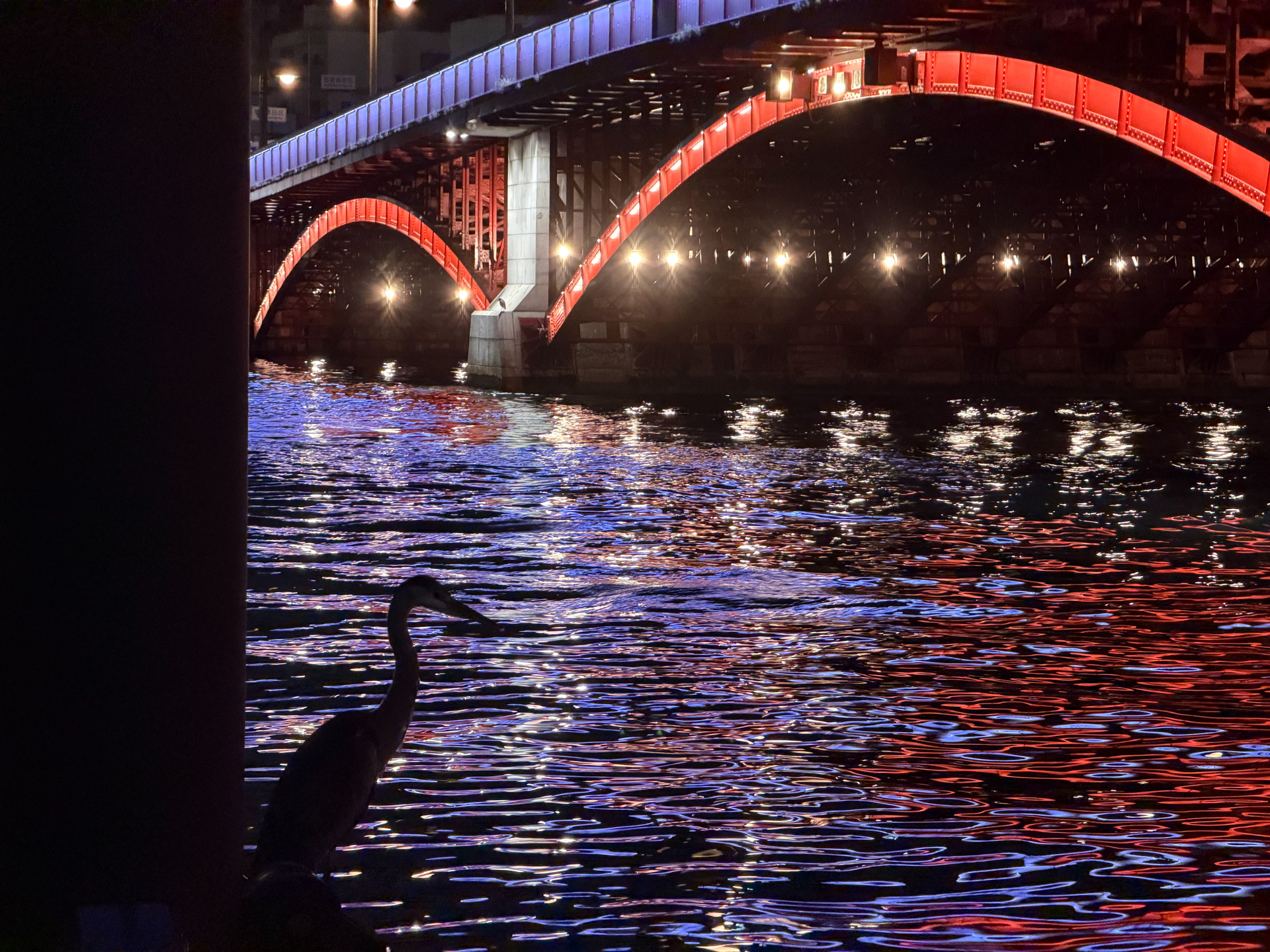 iPhone 17 Pro／16.9mm（100mm相当）／1/35秒／F2.8／ISO 640