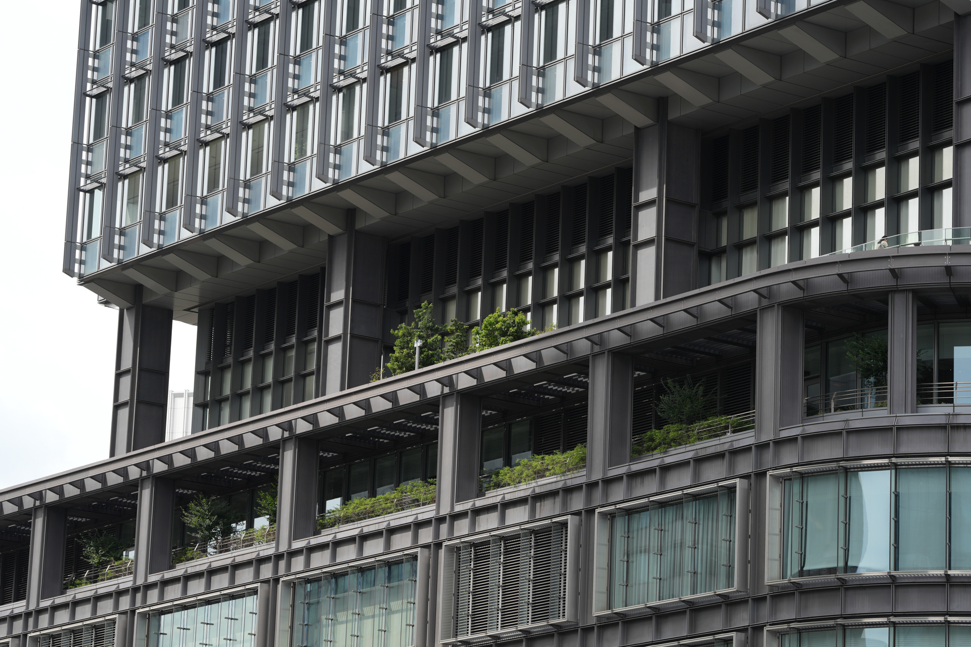 ソニー α7R V／Sigma 135mm F1.4 DG｜Art／135mm／絞り優先AE（1/200秒、F5.6、−0.7EV）／ISO 100