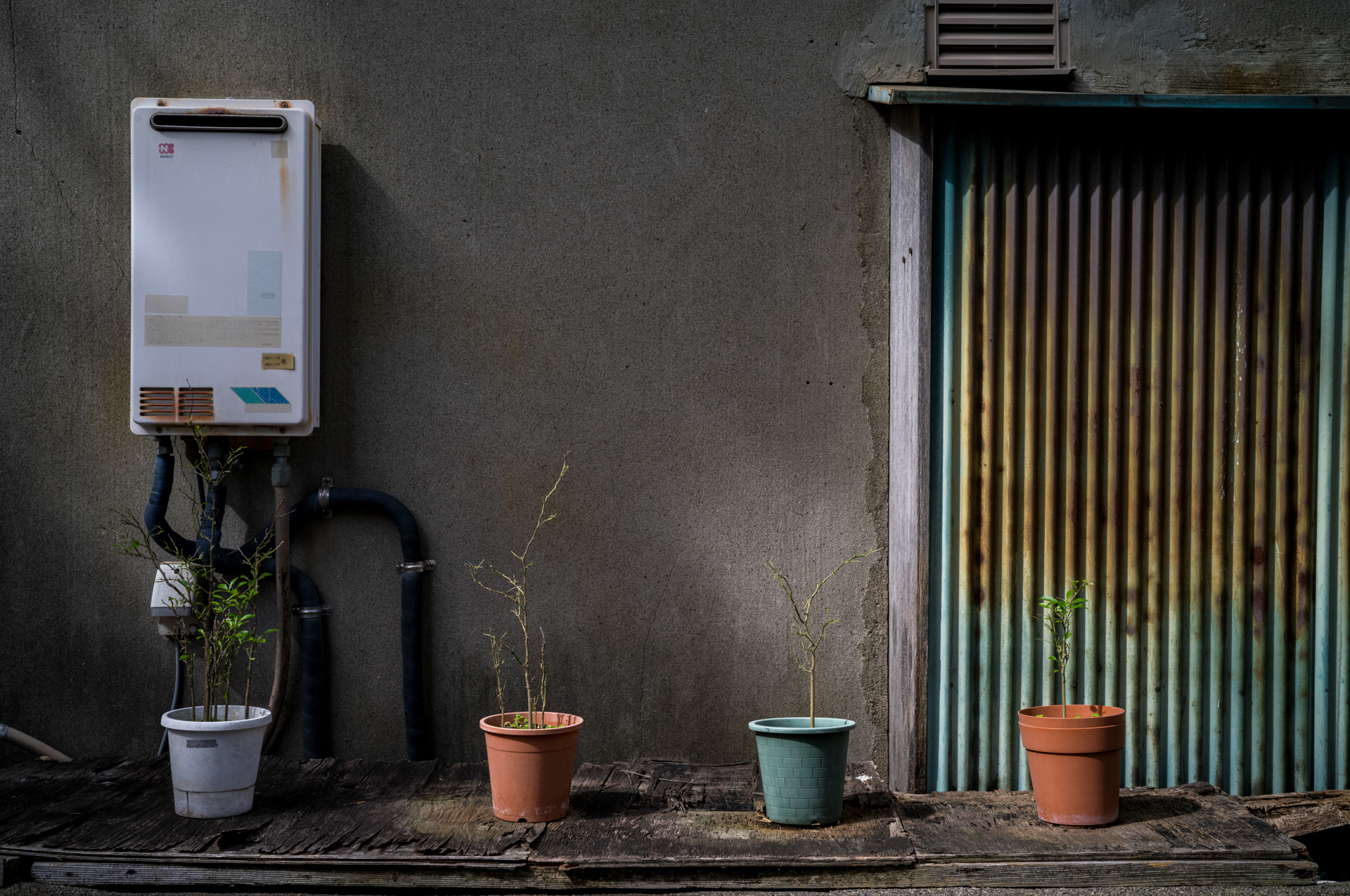 優れたレンズは光の力が微妙な時に効果を発揮すると信じます。斜光線がよい味付けになりました。<br><span class="fnt-85">ライカM11-P／COLOR-SKOPAR 35mm F3.5 Aspherical VM／35mm／マニュアル露出（1/1,000秒、F5.6）／ISO 400</span>