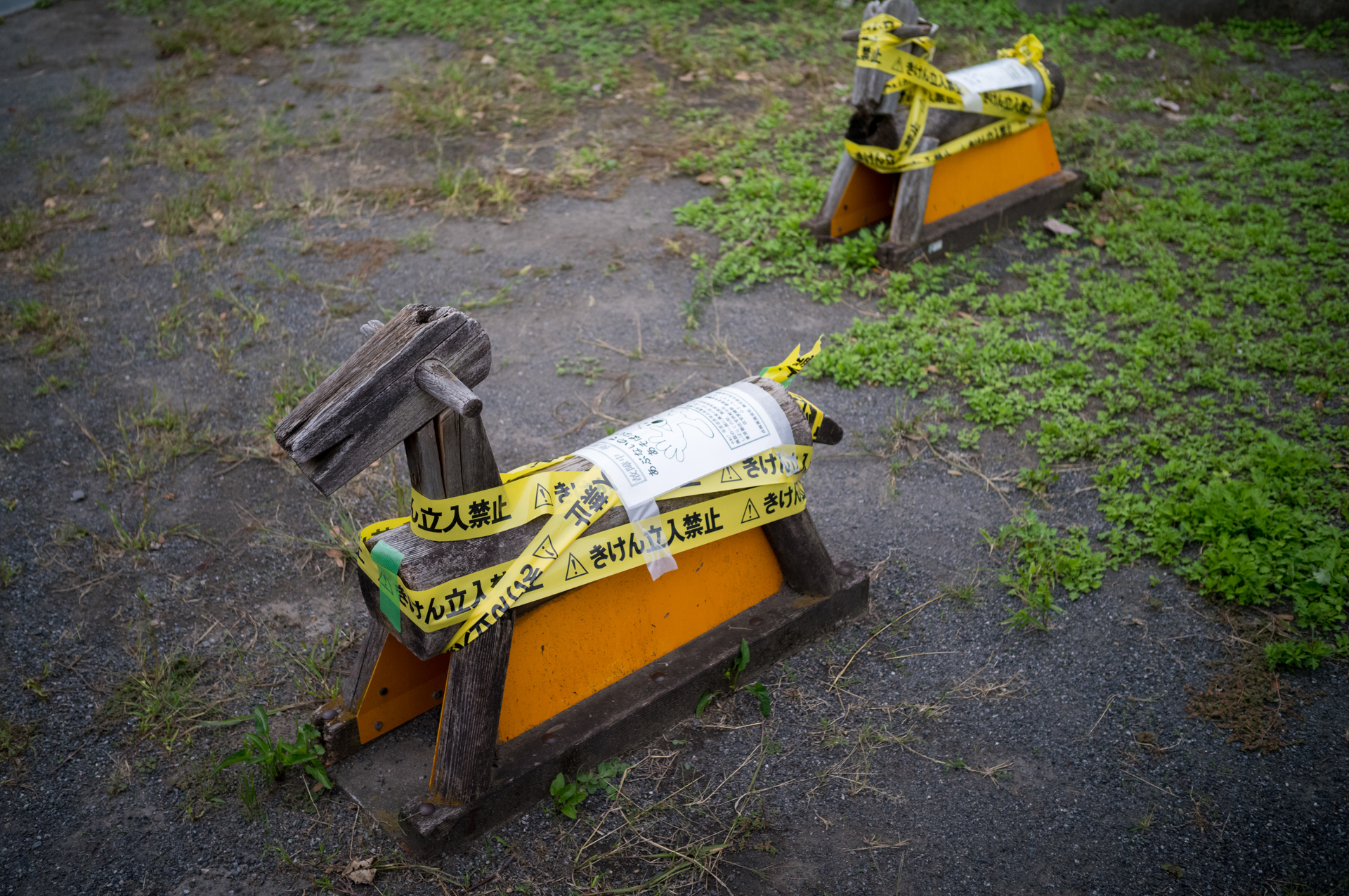 必然はないのですが絞り開放で撮影。撮影距離は2m弱ですが、意外に被写界深度は浅いですね。高性能レンズはフォーカスの頂点位置が狭いのでしょう。<br><span class="fnt-85">ライカM11-P／COLOR-SKOPAR 35mm F3.5 Aspherical VM／35mm／絞り優先AE（1/750秒、F3.5、−0.7EV）／ISO 400</span>