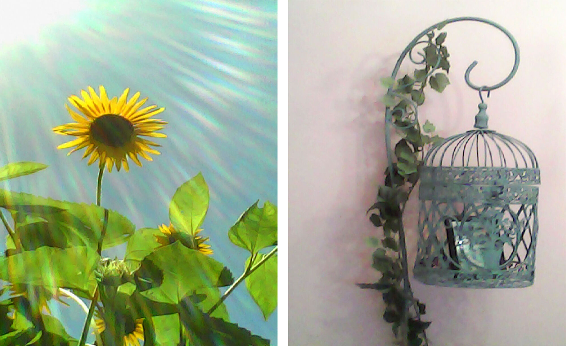 提供：株式会社ケンコー・トキナー