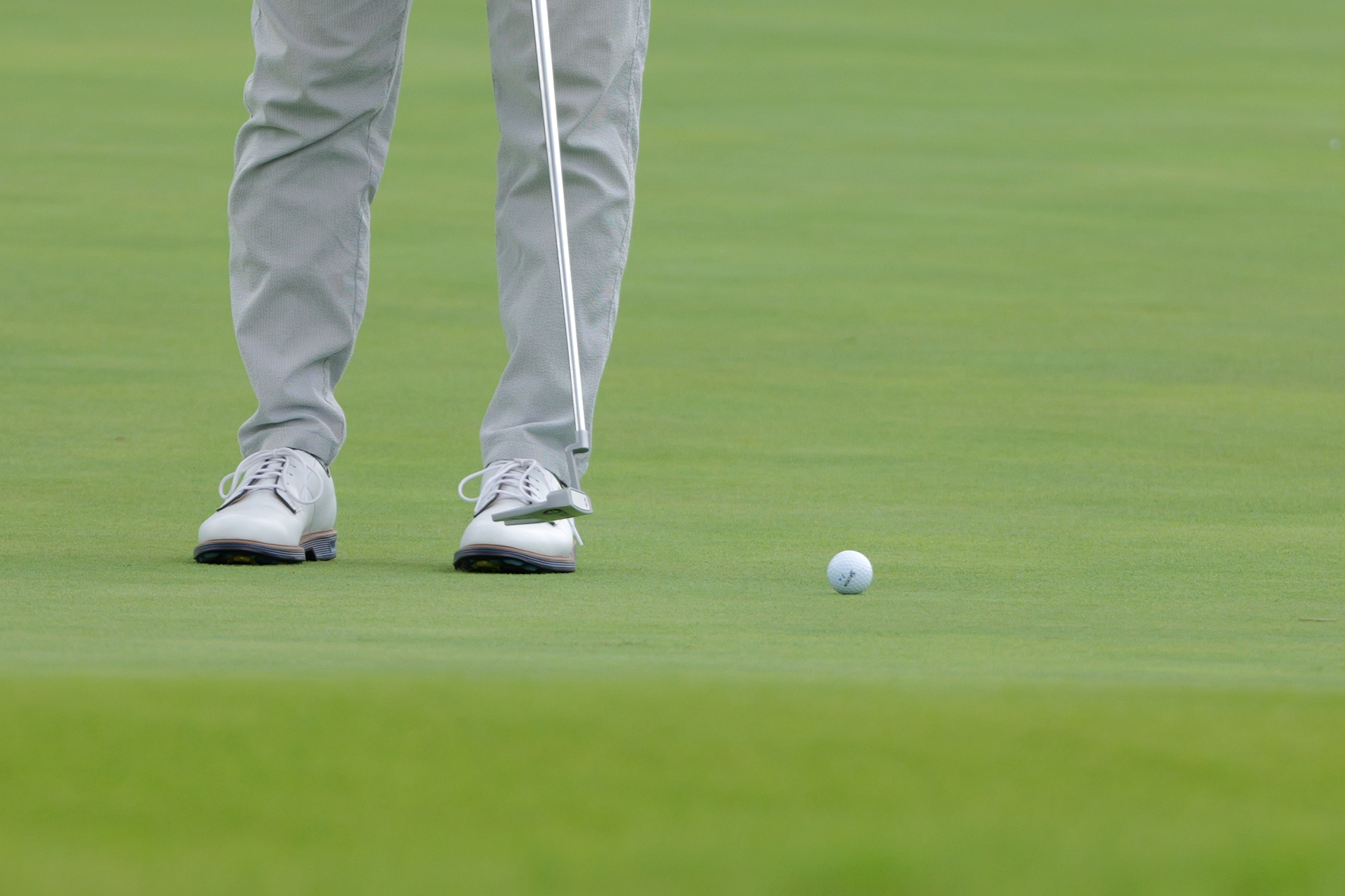 LUMIX S1II／LUMIX S 100-500mm F5-7.1／500mm／マニュアル露出（1/1,300秒、F7.1）／ISO 1600／ハイブリッドズーム使用