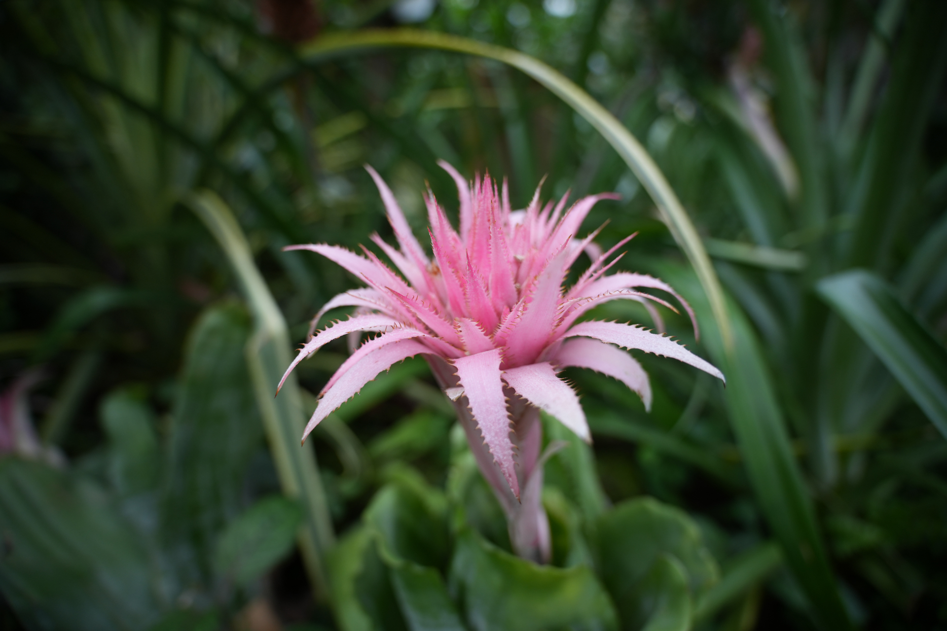 ソニー α7R V／Sigma 20-200mm F3.5-6.3 DG｜Contemporary／20mm／絞り優先AE（1/30秒、F3.5、±0.0EV）／ISO 320