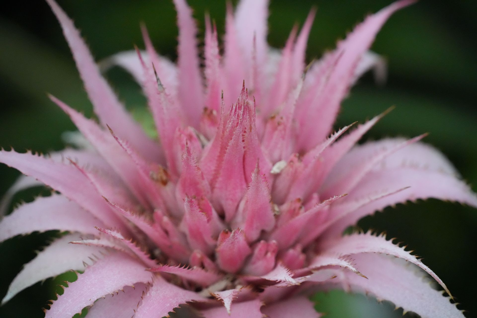 ソニー α7R V／Sigma 20-200mm F3.5-6.3 DG｜Contemporary／200mm／絞り優先AE（1/250秒、F8.0、＋0.3EV）／ISO 10000