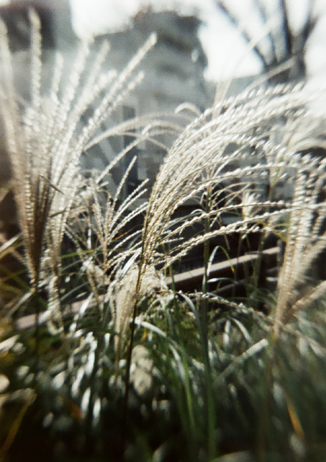 ハーフサイズ作例 ※ILFOCOLOR Vintage Tone 400 Plus使用（提供：イルフォード・ジャパン株式会社