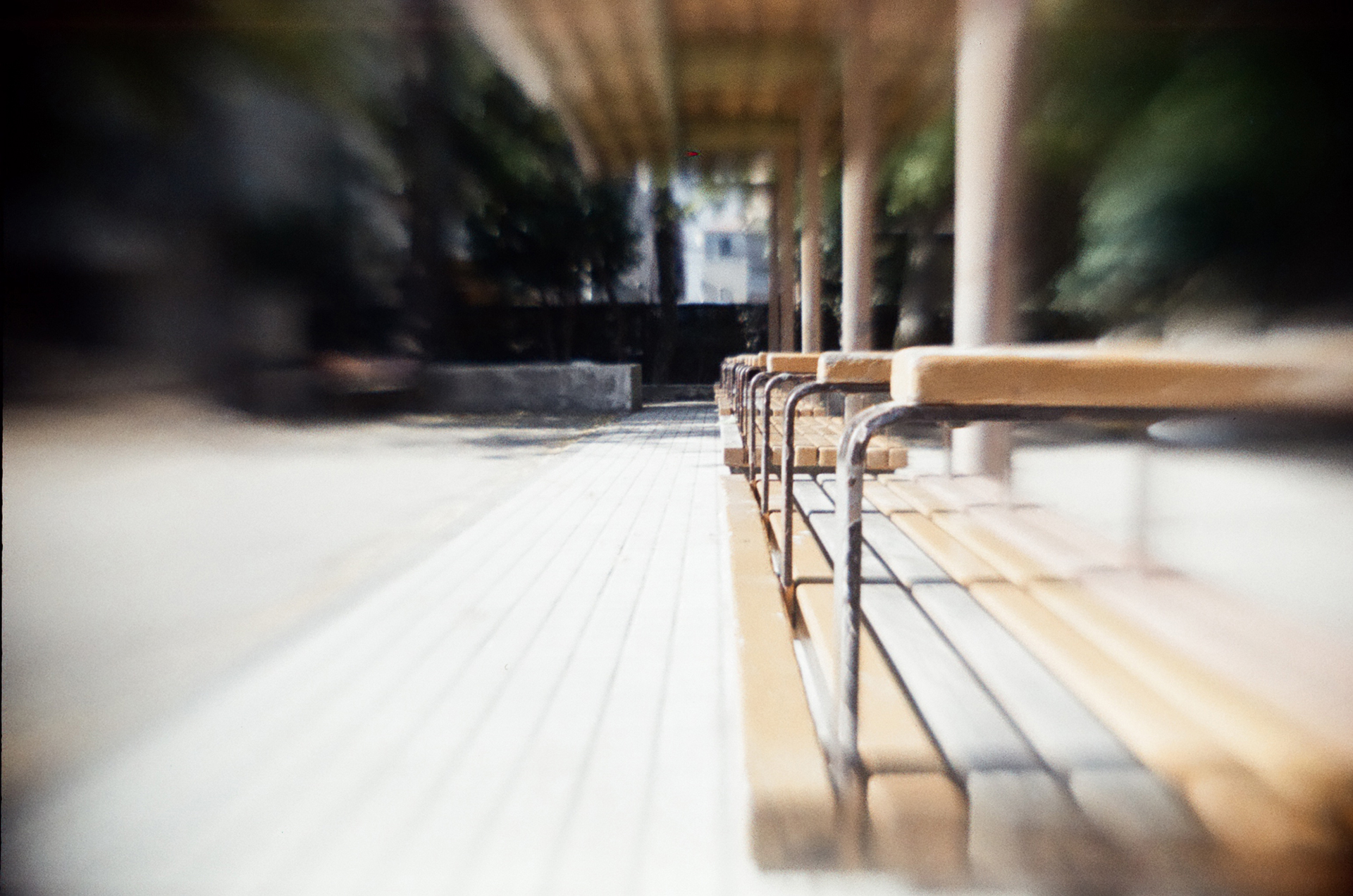 フルサイズ作例 ※ILFOCOLOR Vintage Tone 400 Plus使用（提供：イルフォード・ジャパン株式会社