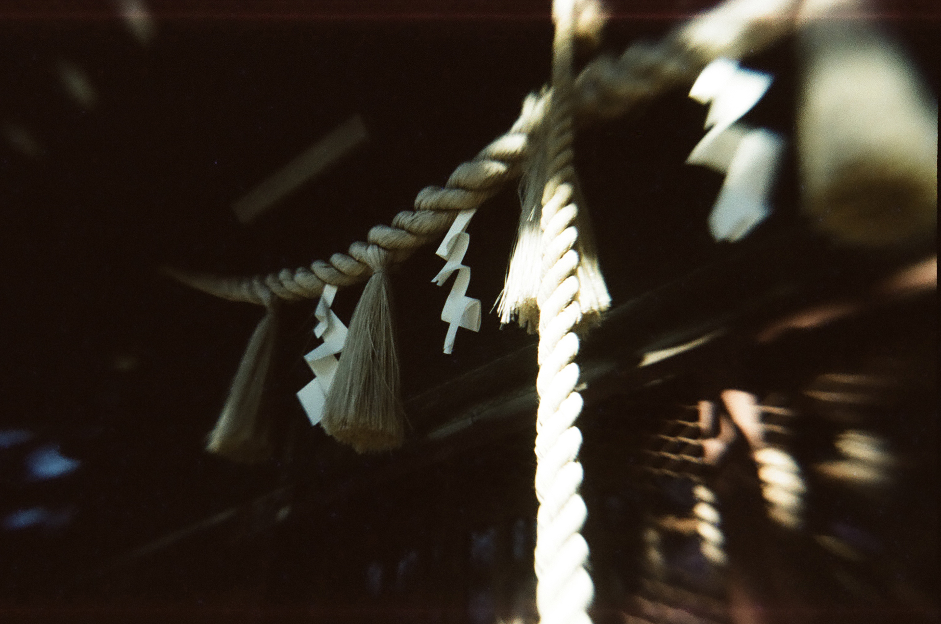 フルサイズ作例 ※ILFOCOLOR Vintage Tone 400 Plus使用（提供：イルフォード・ジャパン株式会社