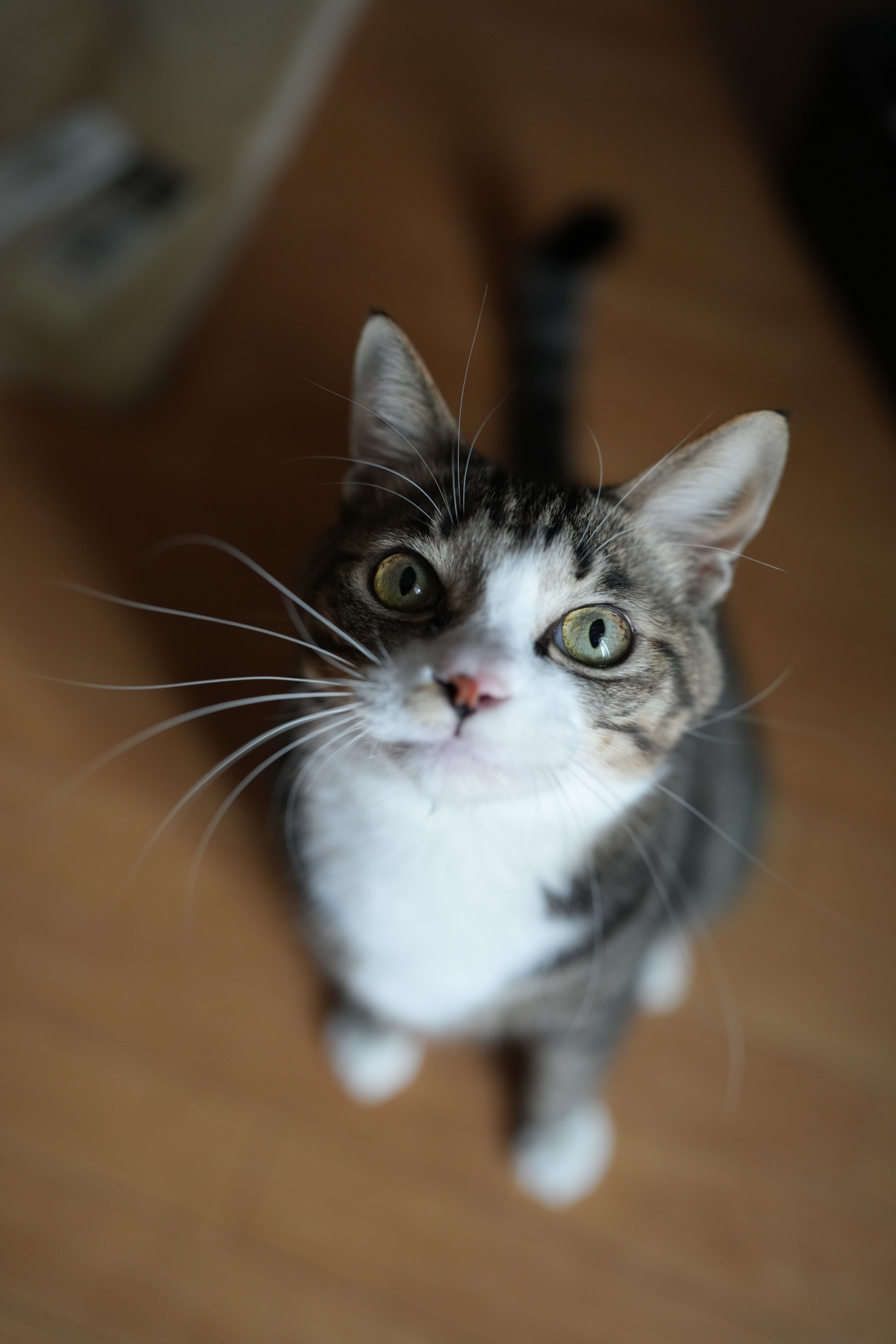 α7R V／Sigma 35mm F1.2 DG II｜Art／35mm／絞り優先AE（1/500秒、F2.0、−0.3EV）／ISO 800