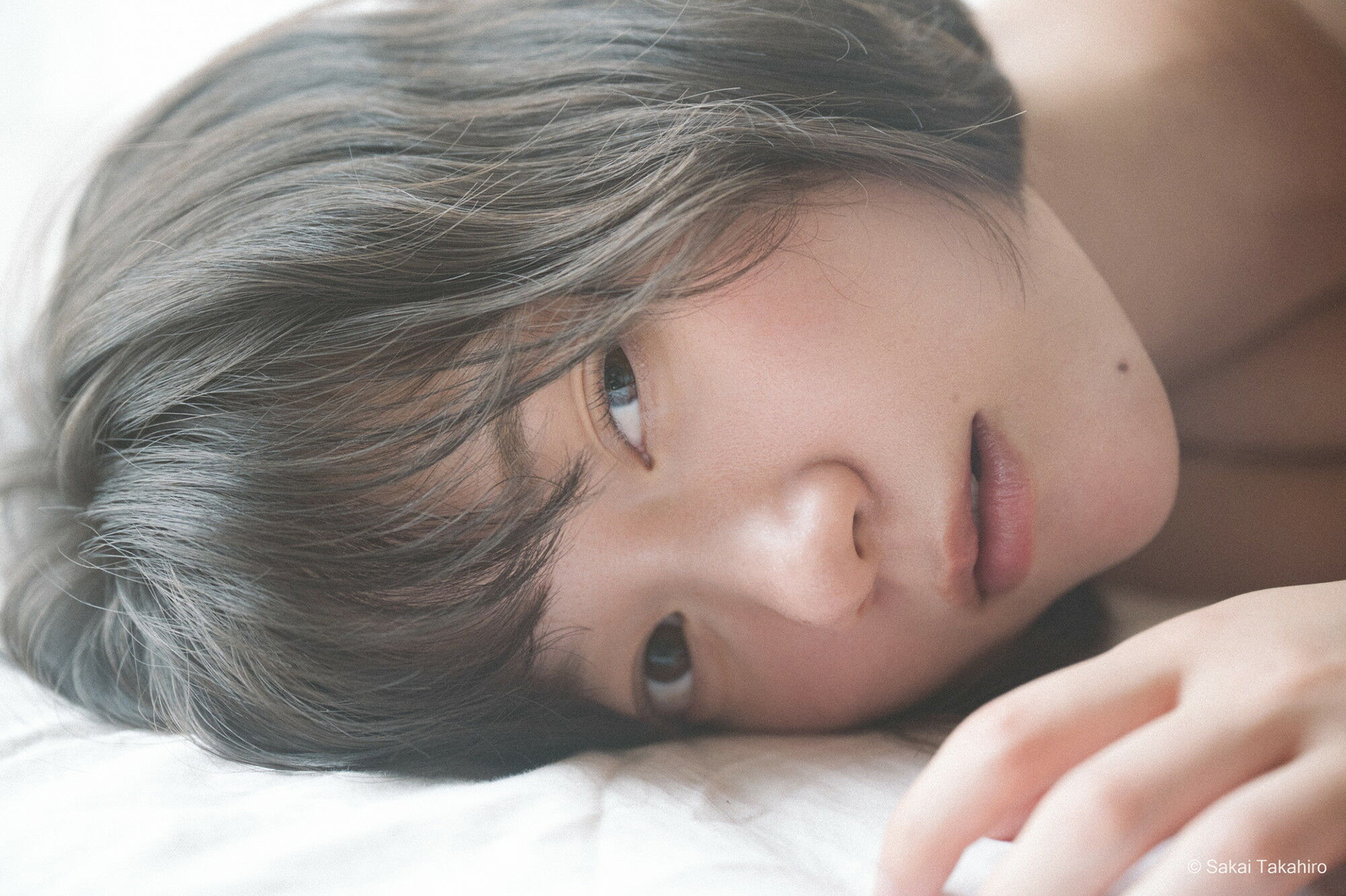 ホワイトミスト No.05使用（提供：株式会社ケンコー・トキナー）