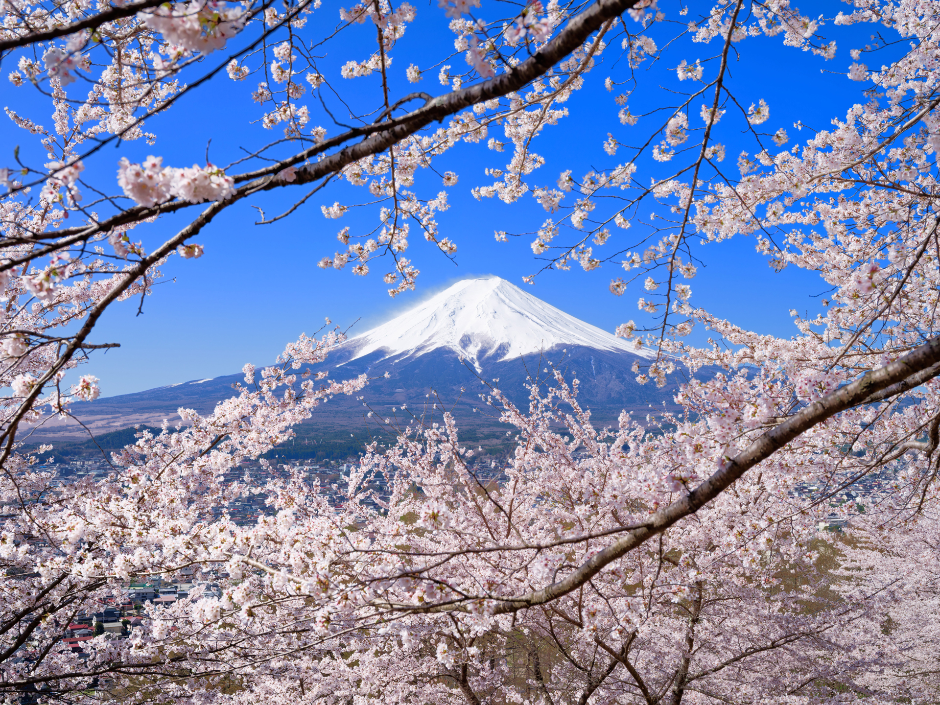 富士フイルム GFX 100S／GF32-64mmF4 R LM WR／44mm（35mm相当）／マニュアル露出（F11、1/250秒）／ISO 200／WB：オート