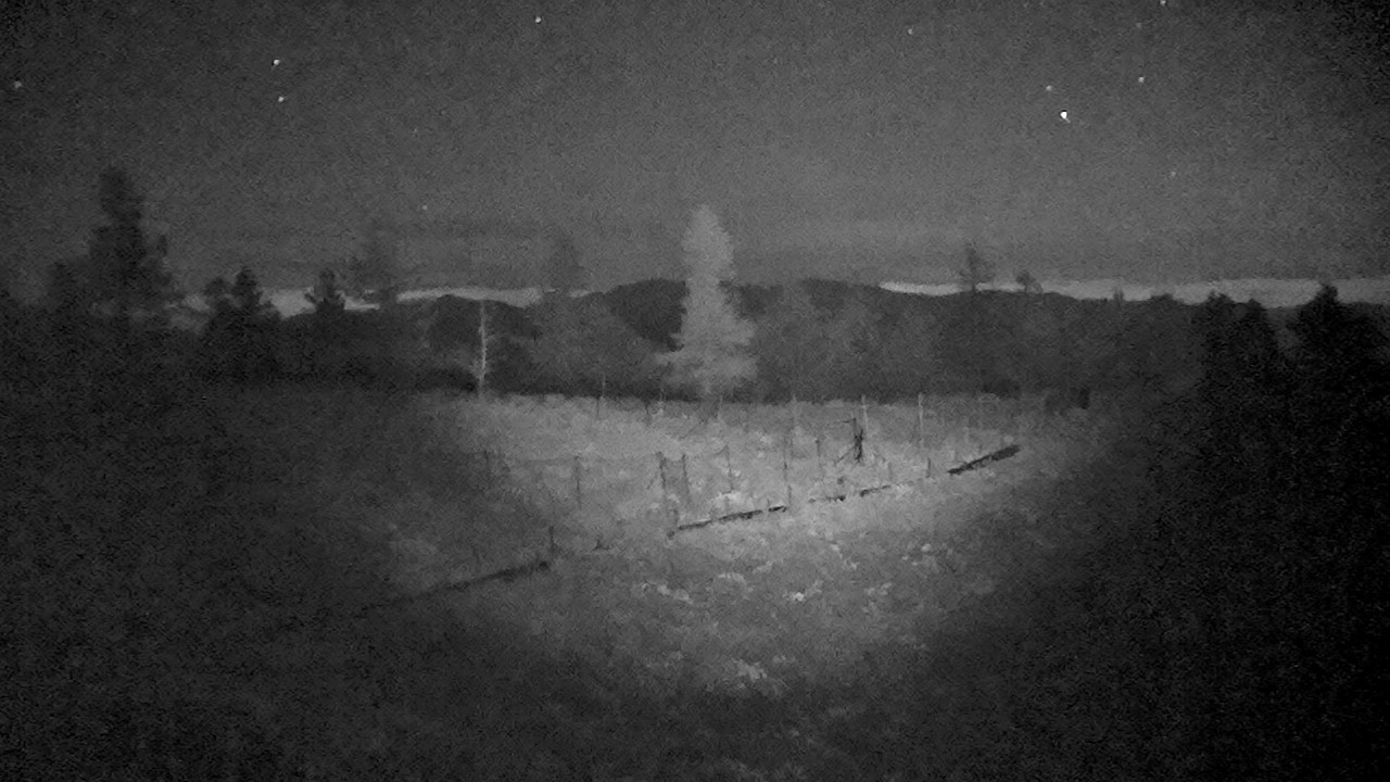 この自作赤外線投光機を使ったカットです。新月の晩、山の頂上付近なので、真っ暗です