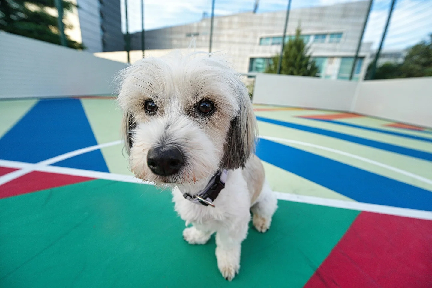 サンプル画像（映像嵐株式会社提供）