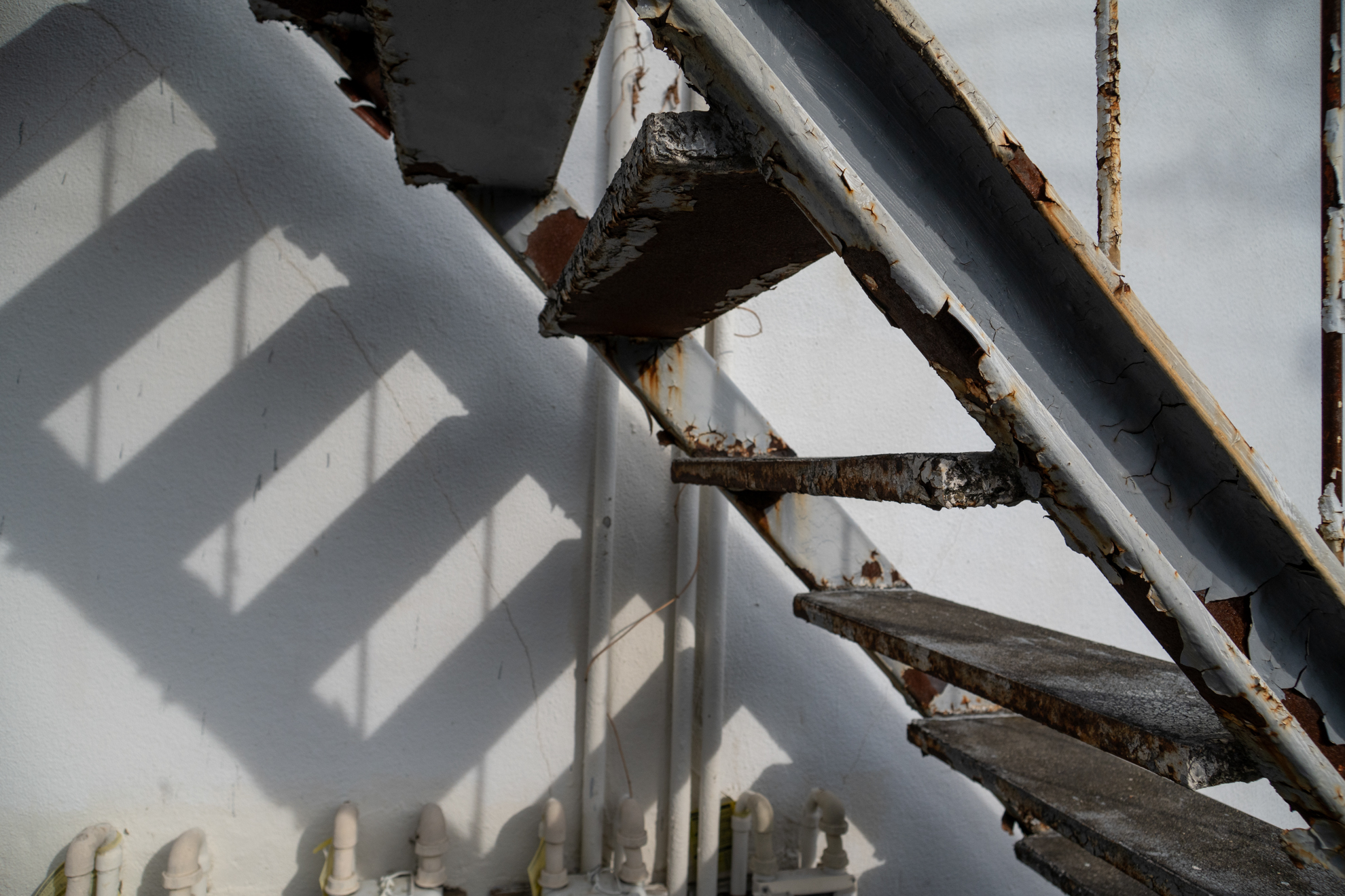 単焦点レンズらしく、歪曲収差の補正が完璧なことがわかります。動作が正常ならガンガン使いたいですね。<br><span class="fnt-85">ニコン Z5II／AF NIKKOR 24mm F2.8D（LA-FZ1を使用）／24mm／絞り優先AE（1/1,250秒、F8.0、−0.3EV）／ISO 400</span>