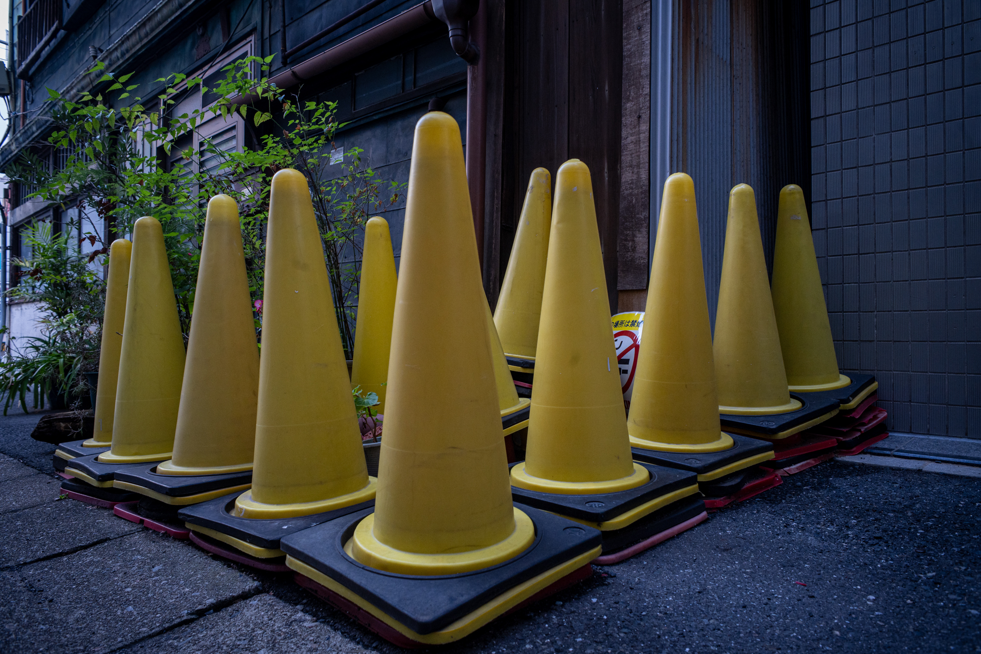 スムーズにフォーカスするなあと思ったら、少し後ピンです。また、デフォルトでは超絶なオーバー露光になりましたから、極端な露光補正をしています。<br><span class="fnt-85">ニコン Z5II／AF NIKKOR 24mm F2.8D（LA-FZ1を使用）／24mm／絞り優先AE（1/40秒、F8.0、−1.7EV）／ISO 800</span>