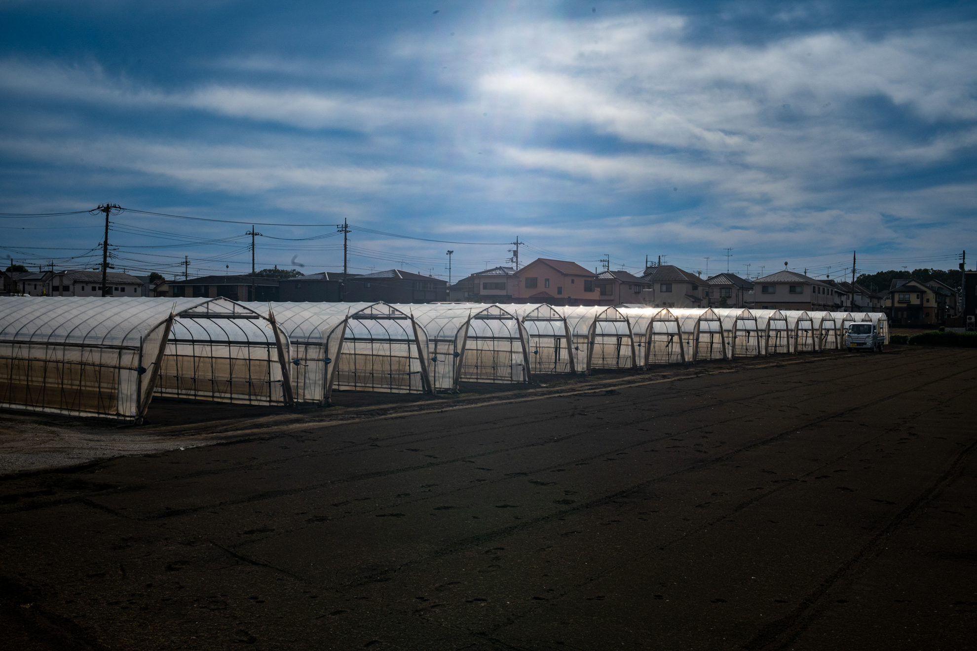 逆光だと少々ハレっぽいというか、コーティングが古いというか。でも意外と細かいところまでよく描写します。<br><span class="fnt-85">ニコン Z5II／AF NIKKOR 35mm F2 D（LA-FZ1を使用）／35mm／プログラムAE（1/1,000秒、F16、−0.7EV）／ISO 400</span>