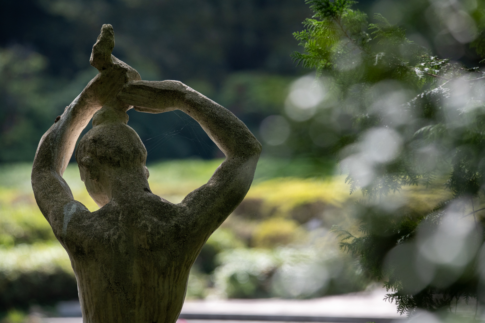 逆光条件ですが、手前のボケは個性的ですね。ディテールもよく再現しています。<br><span class="fnt-85">ニコン Z5II／AF VR Zoom NIKKOR 80-400mm F4.5-5.6 D ED（LA-FZ1を使用）／270mm／絞り優先AE（1/640秒、F6.3、−0.7EV）／ISO 640</span>