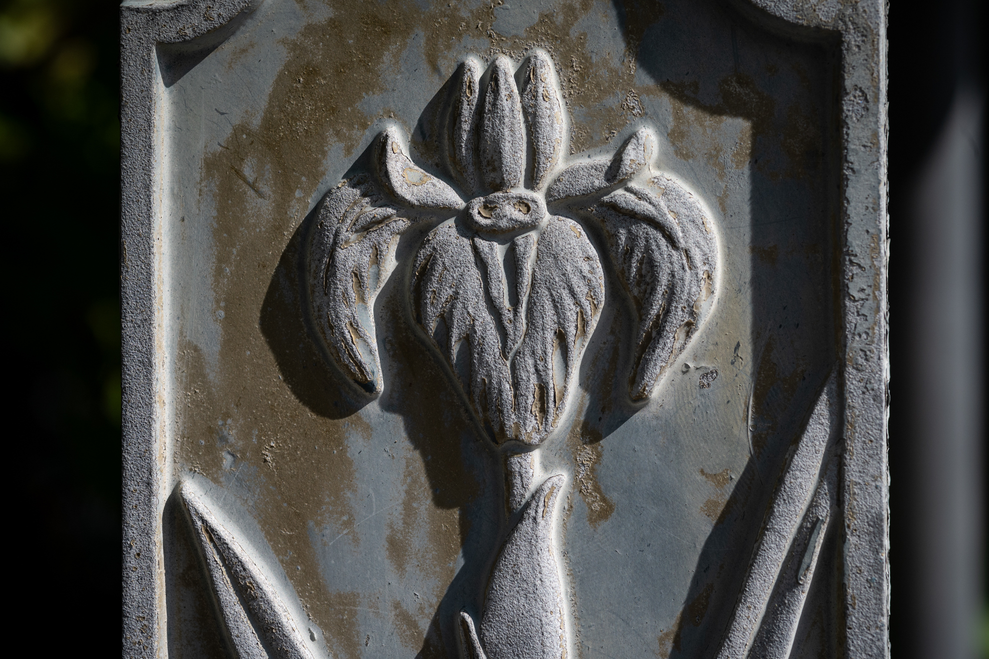 マクロレンズですからこうした被写体を確実に描写するのはお手のものであります。実直な描写です。<br><span class="fnt-85">ニコン Z5II／AF Micro NIKKOR 60mm F2.8 D（LA-FZ1を使用）／60mm／絞り優先AE（1/1,600秒、F8.0、−0.7EV）／ISO 400</span>