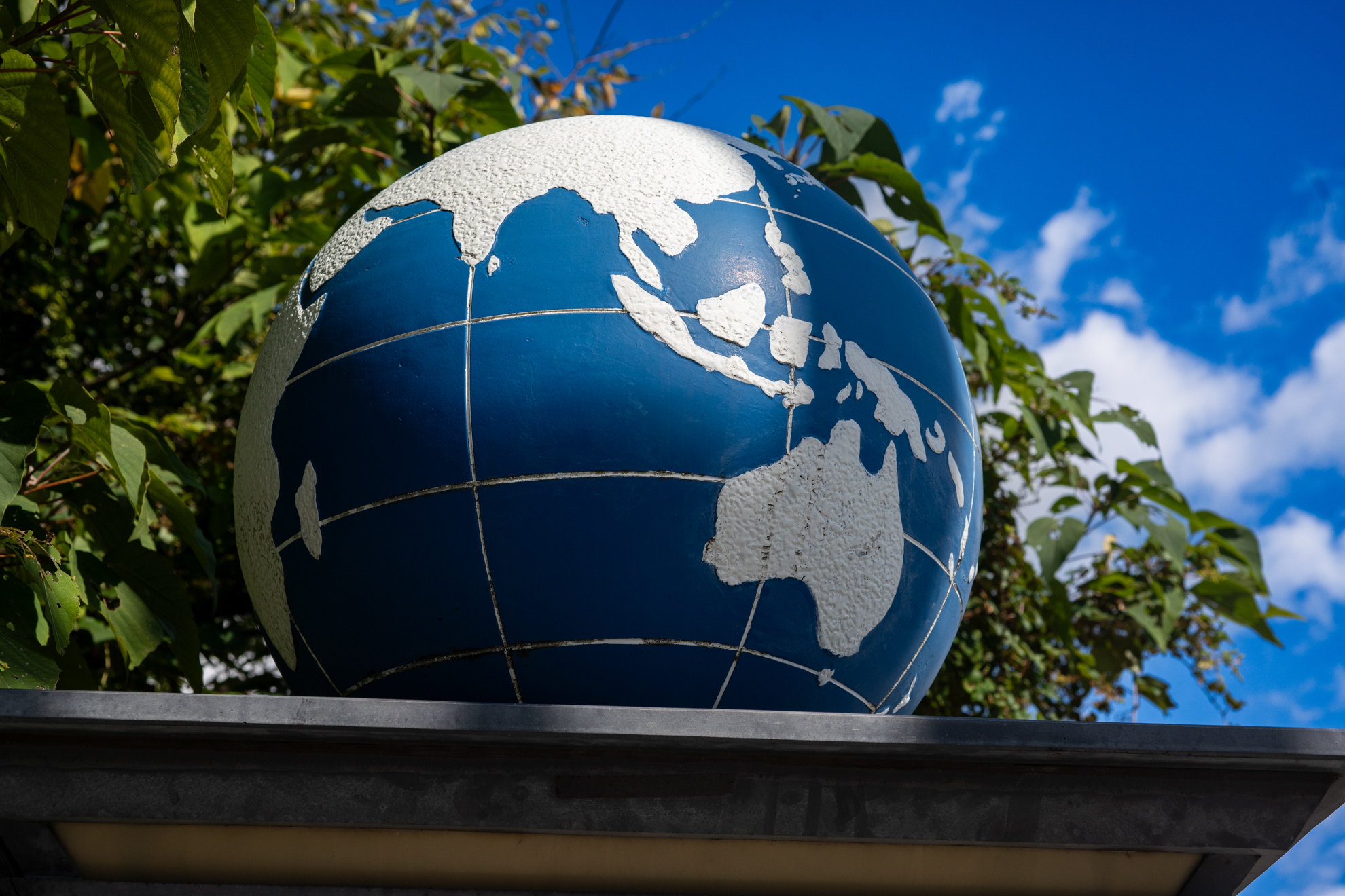 ハイライトがちょっとハレるかなと思ったら心配無用でした。<br><span class="fnt-85">ニコン Z5II／AF Micro NIKKOR 60mm F2.8 D（LA-FZ1を使用）／60mm／絞り優先AE（1/1,250秒、F8.0、−0.7EV）／ISO 400</span>