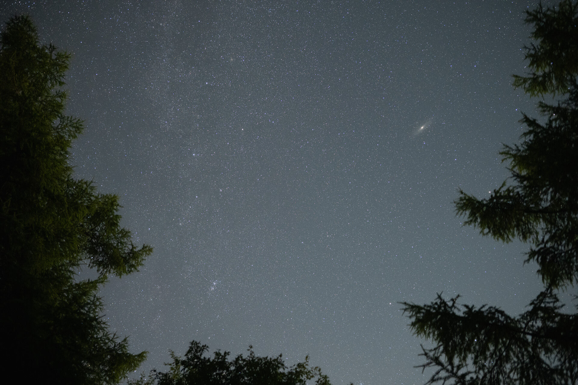 使用前（提供：株式会社ケンコー・トキナー）