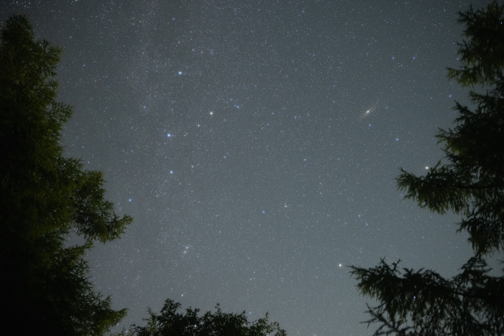 使用後（提供：株式会社ケンコー・トキナー）