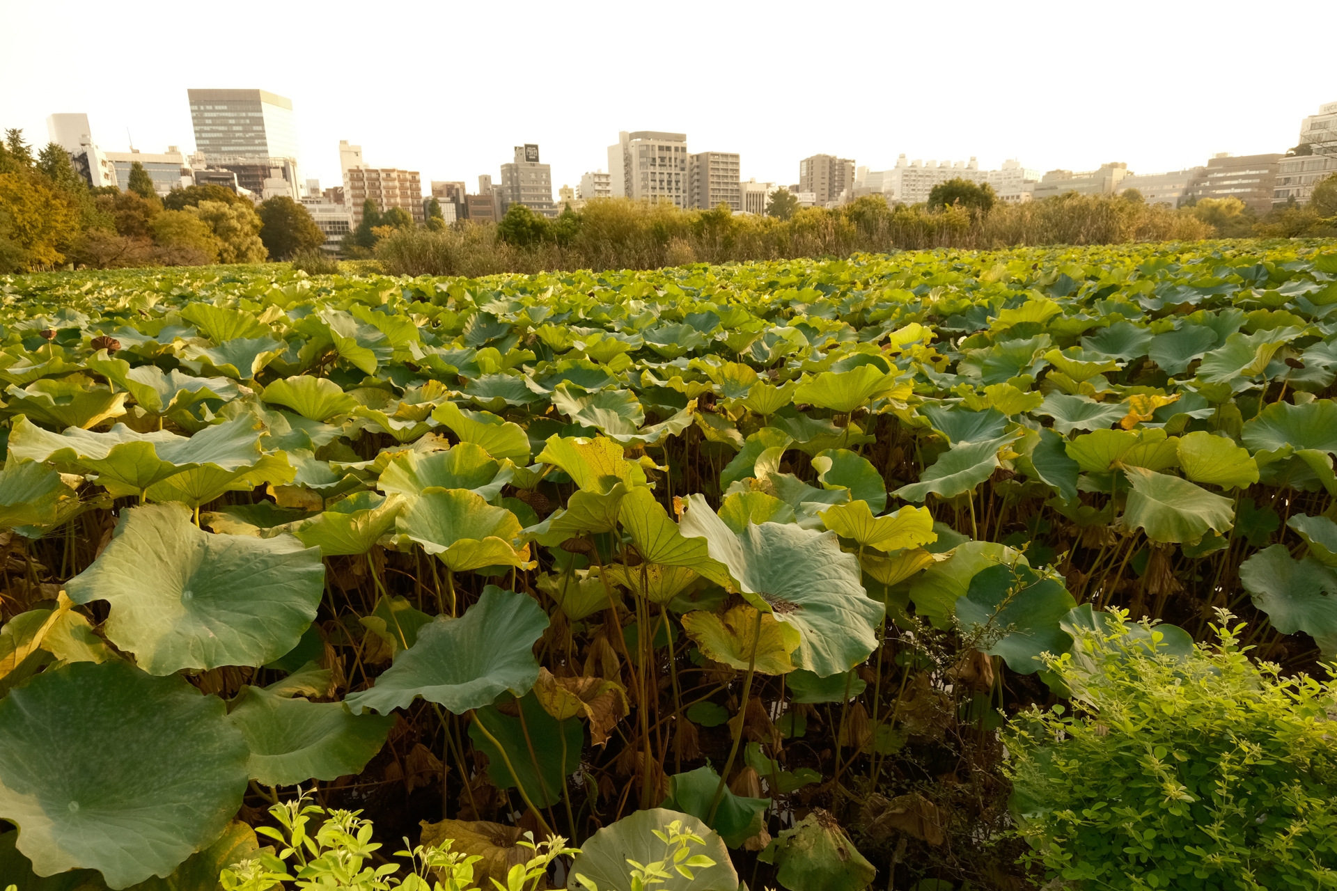 X-T30 III／XC13-33mmf3.5-6.3 OIS／13mm（205mm相当）／絞り優先AE（1/750秒、F6.4、＋0.3EV）／ISO 1600／WB：マニュアル