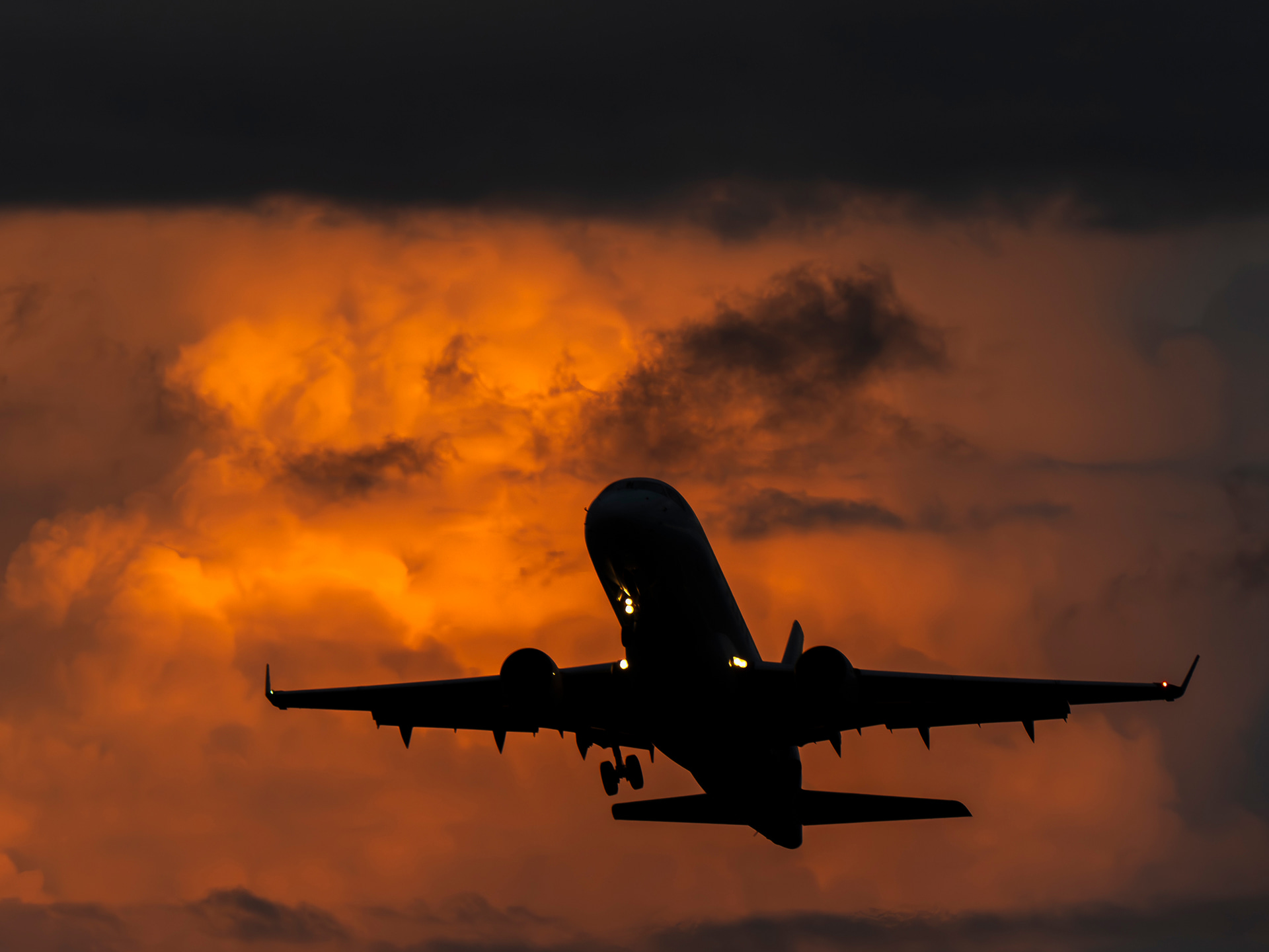 <span class="fnt-85">OM SYSTEM OM-1 Mark II／328mm（656mm相当）／マニュアル露出（F8、1/500秒）／ISO 800／WB：オート</span>